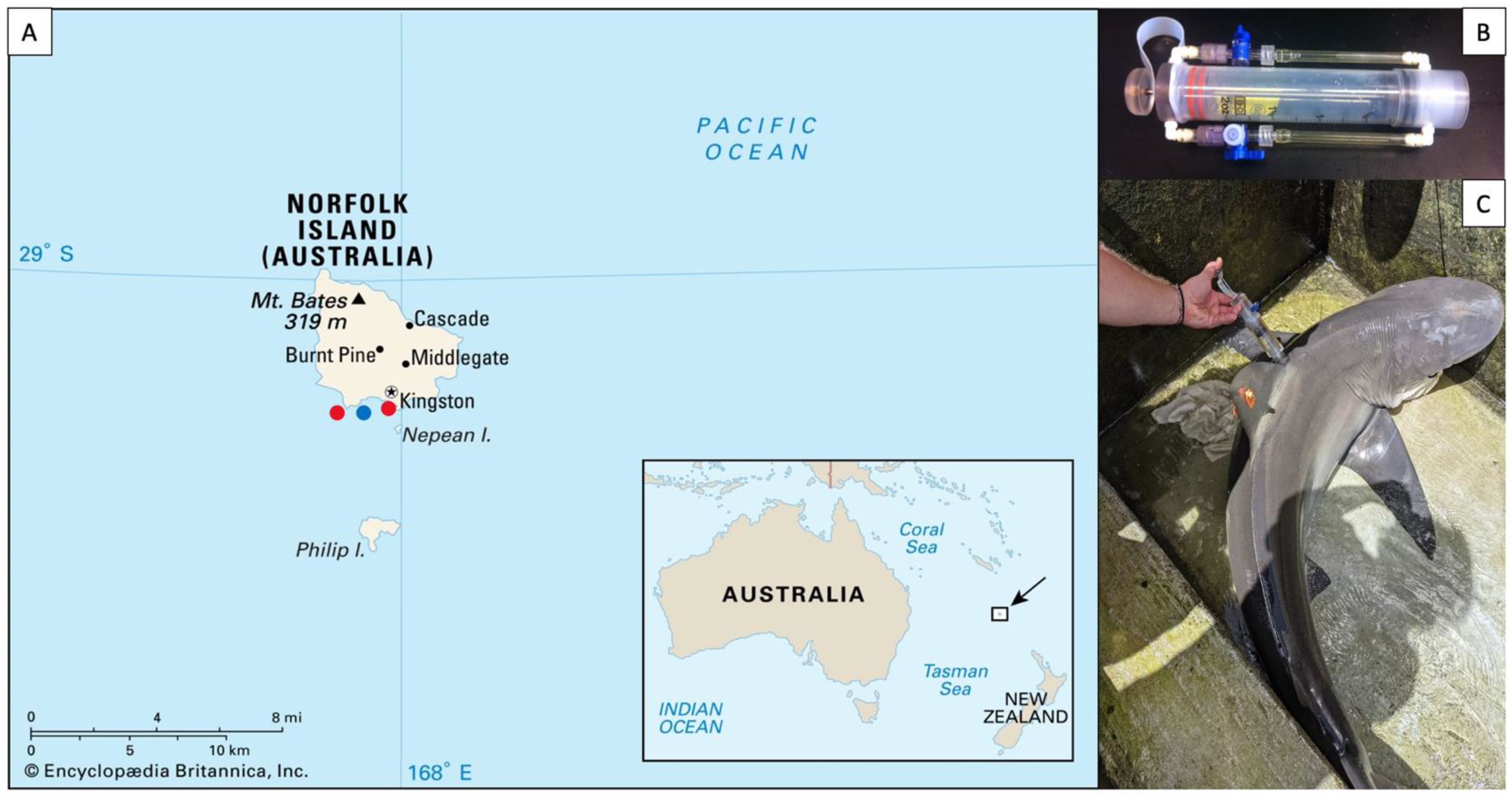 Viruses 14 01969 g001