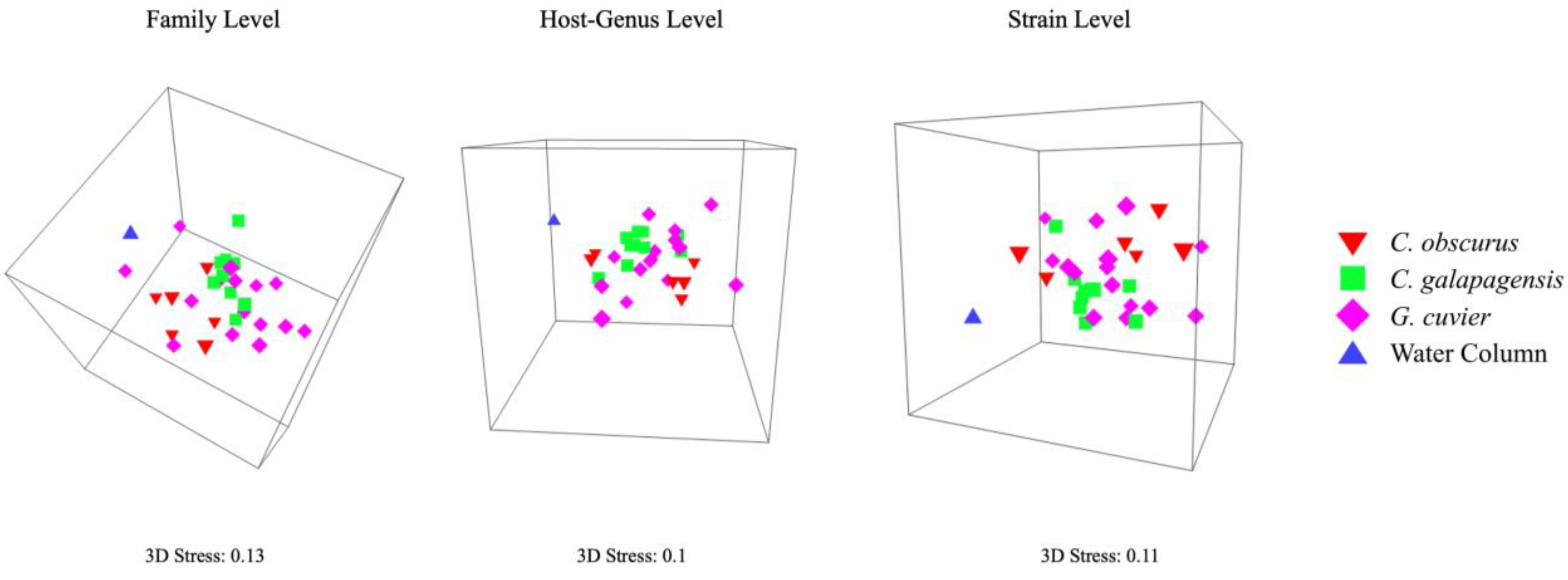 Viruses 14 01969 g004