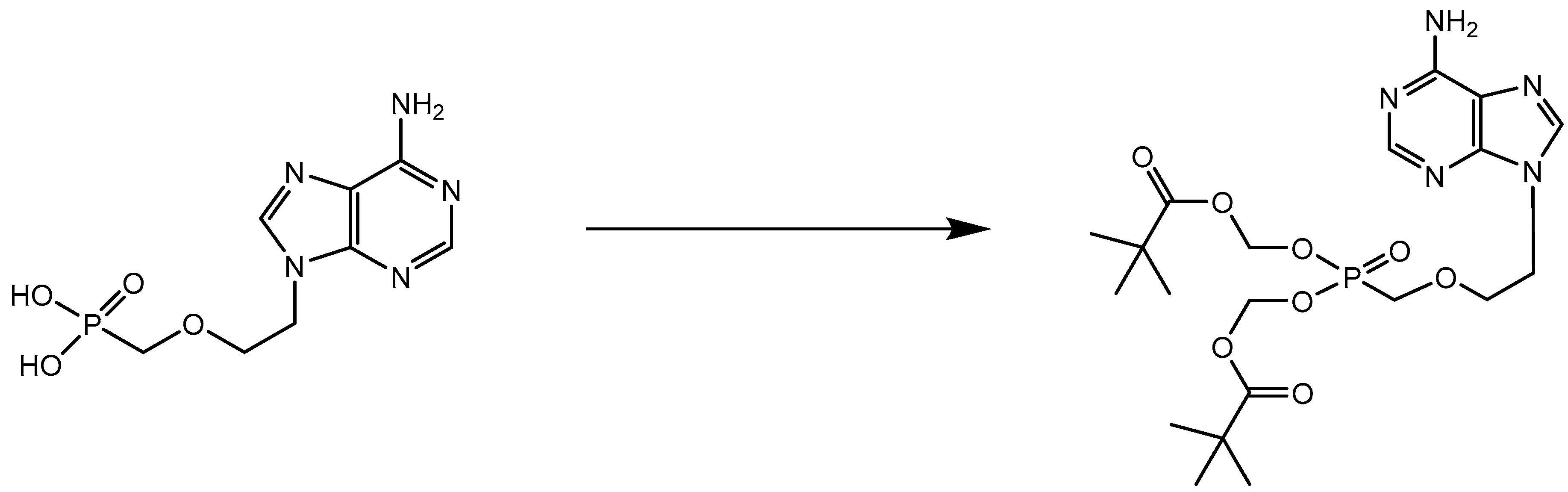 Viruses 14 01978 g004