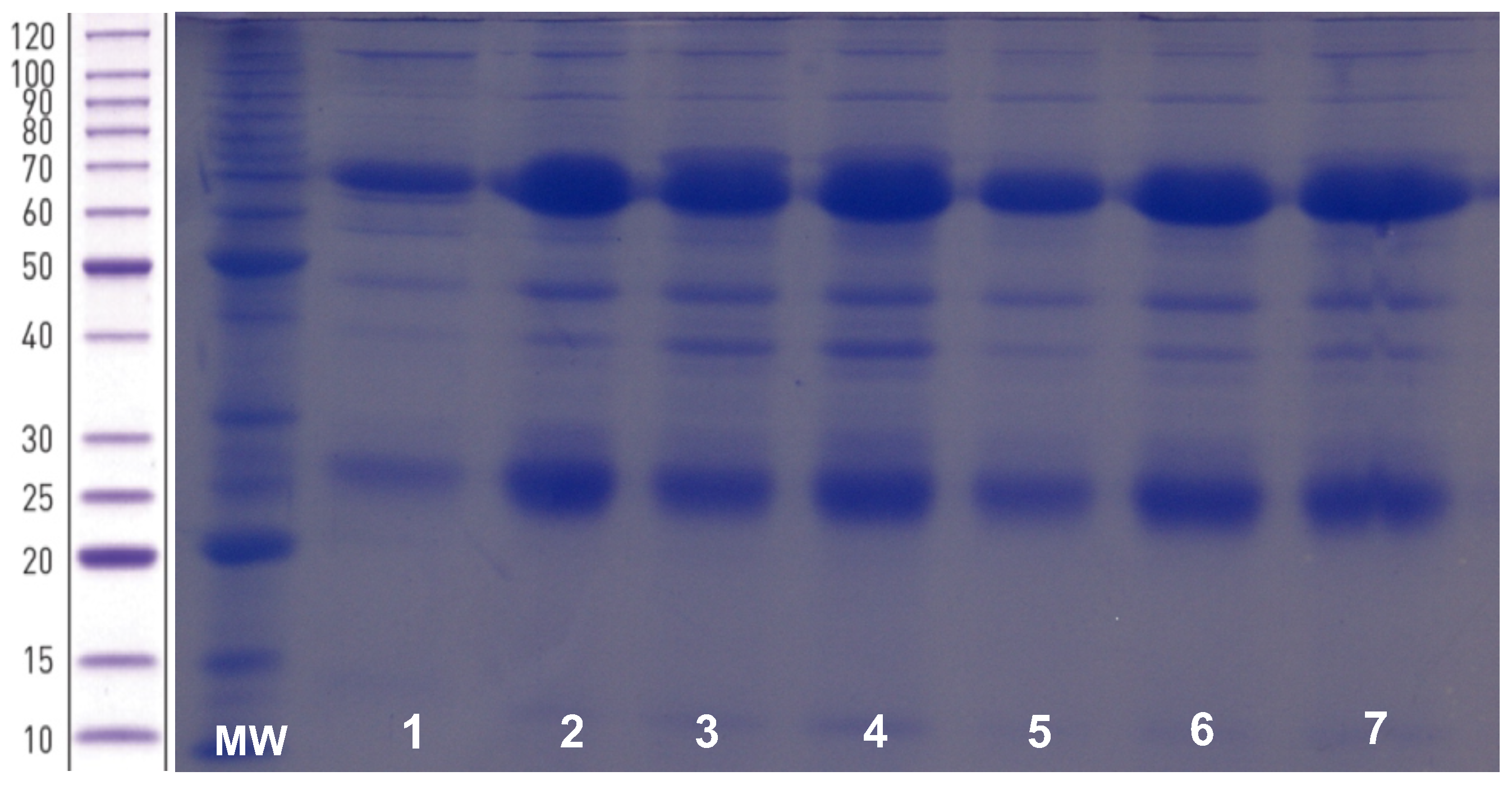 Viruses 14 01995 g001