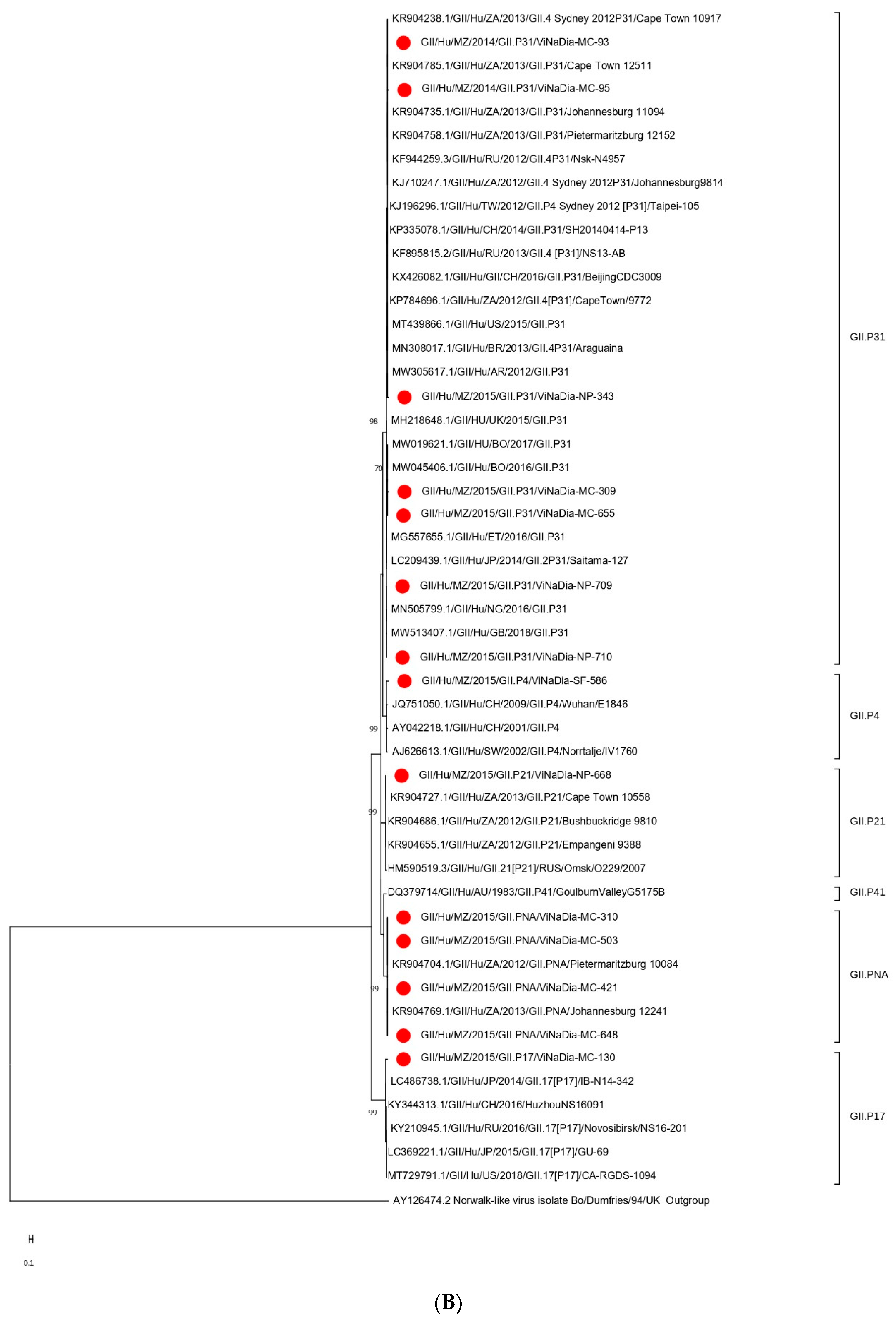 Viruses 14 02001 g002b