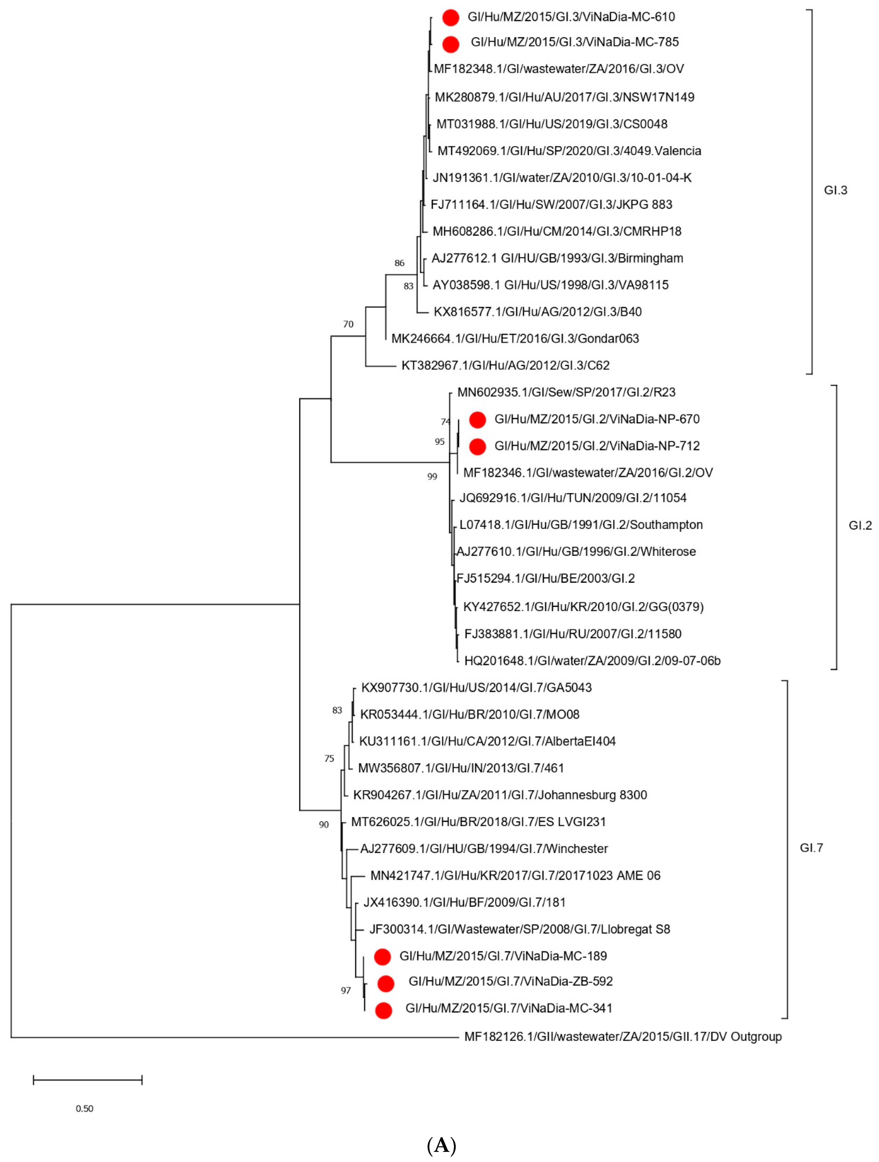Viruses 14 02001 g003a