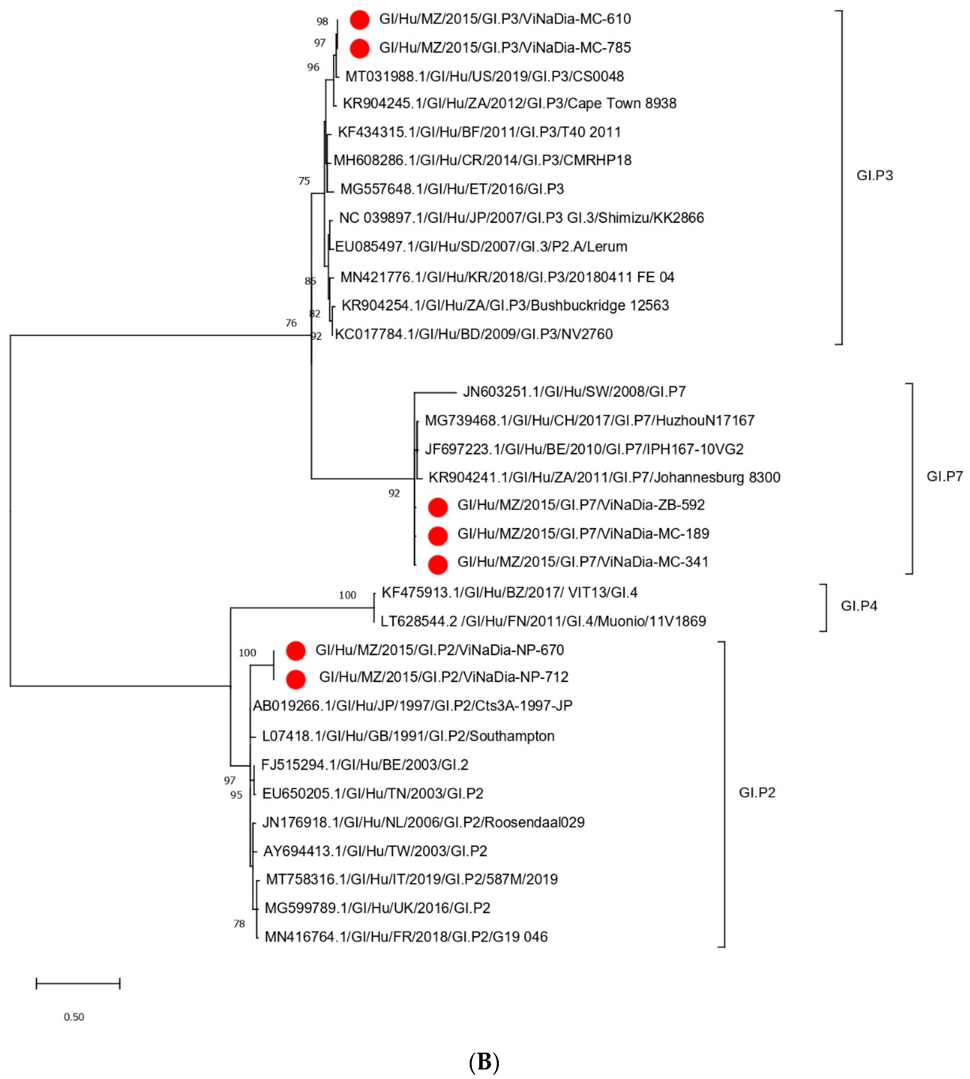 Viruses 14 02001 g003b