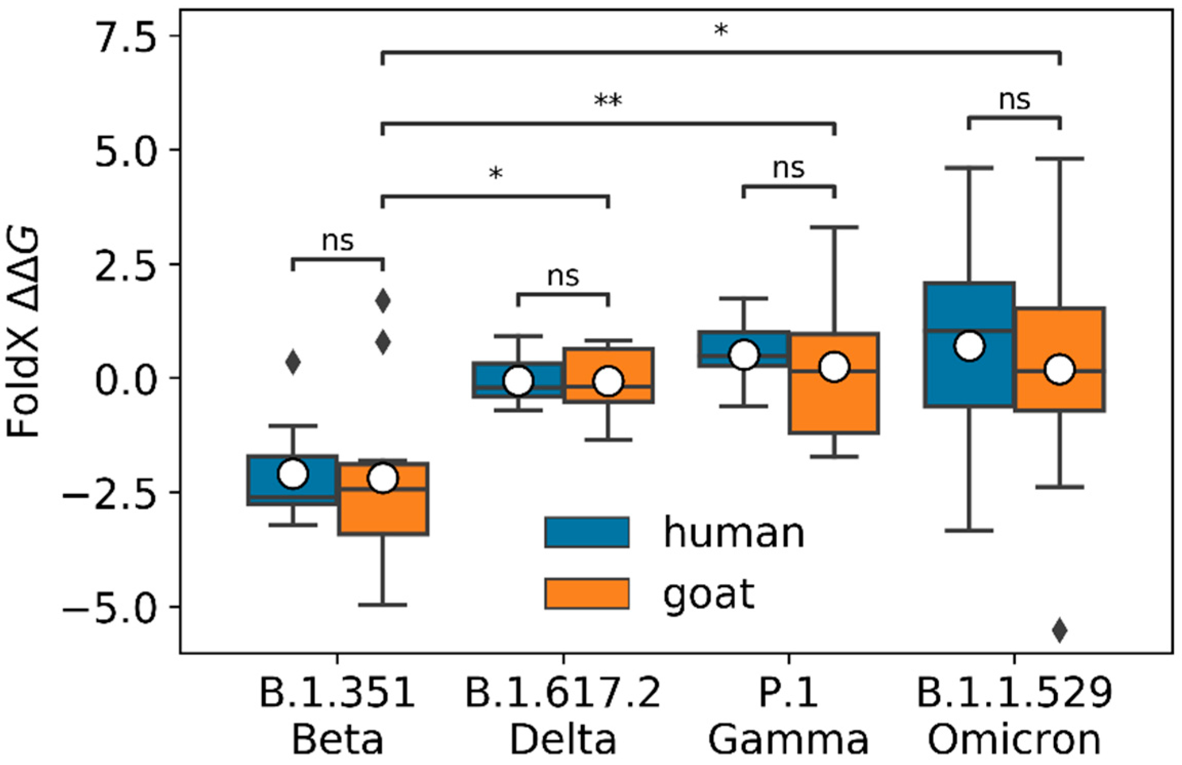 Viruses 14 02002 g002