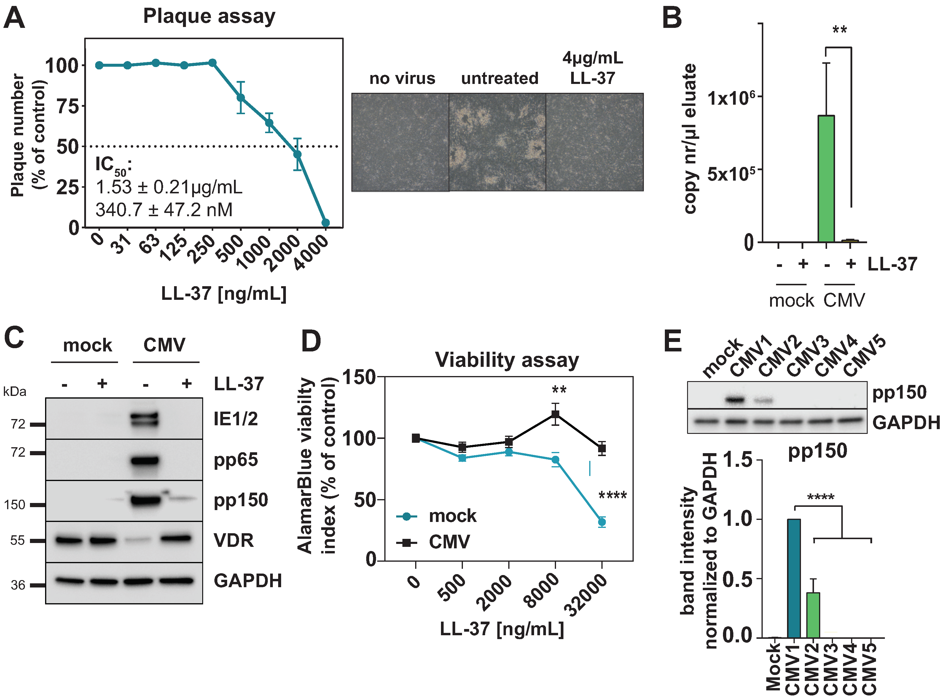 Viruses 14 02004 g006
