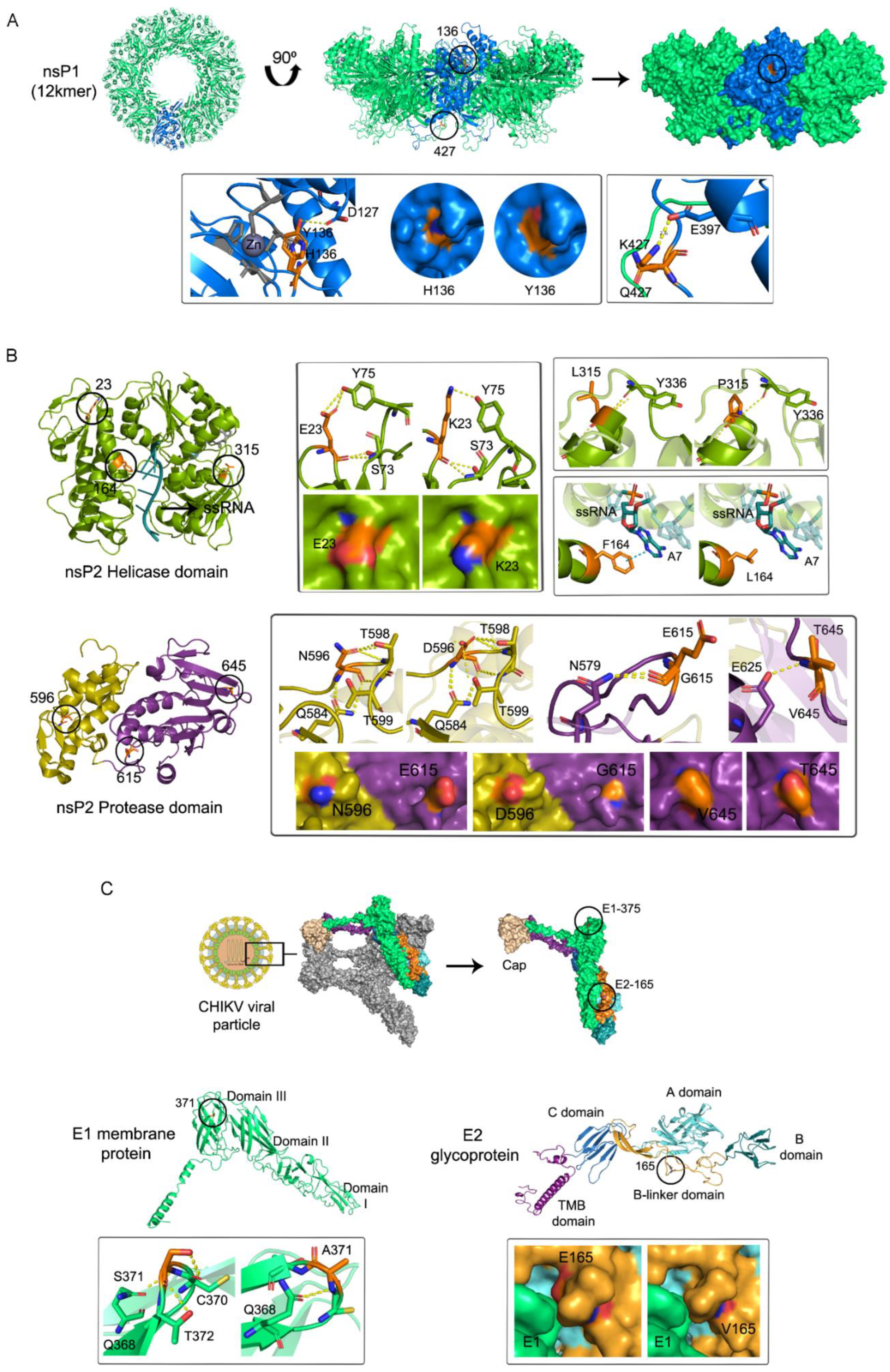 Viruses 14 02006 g002