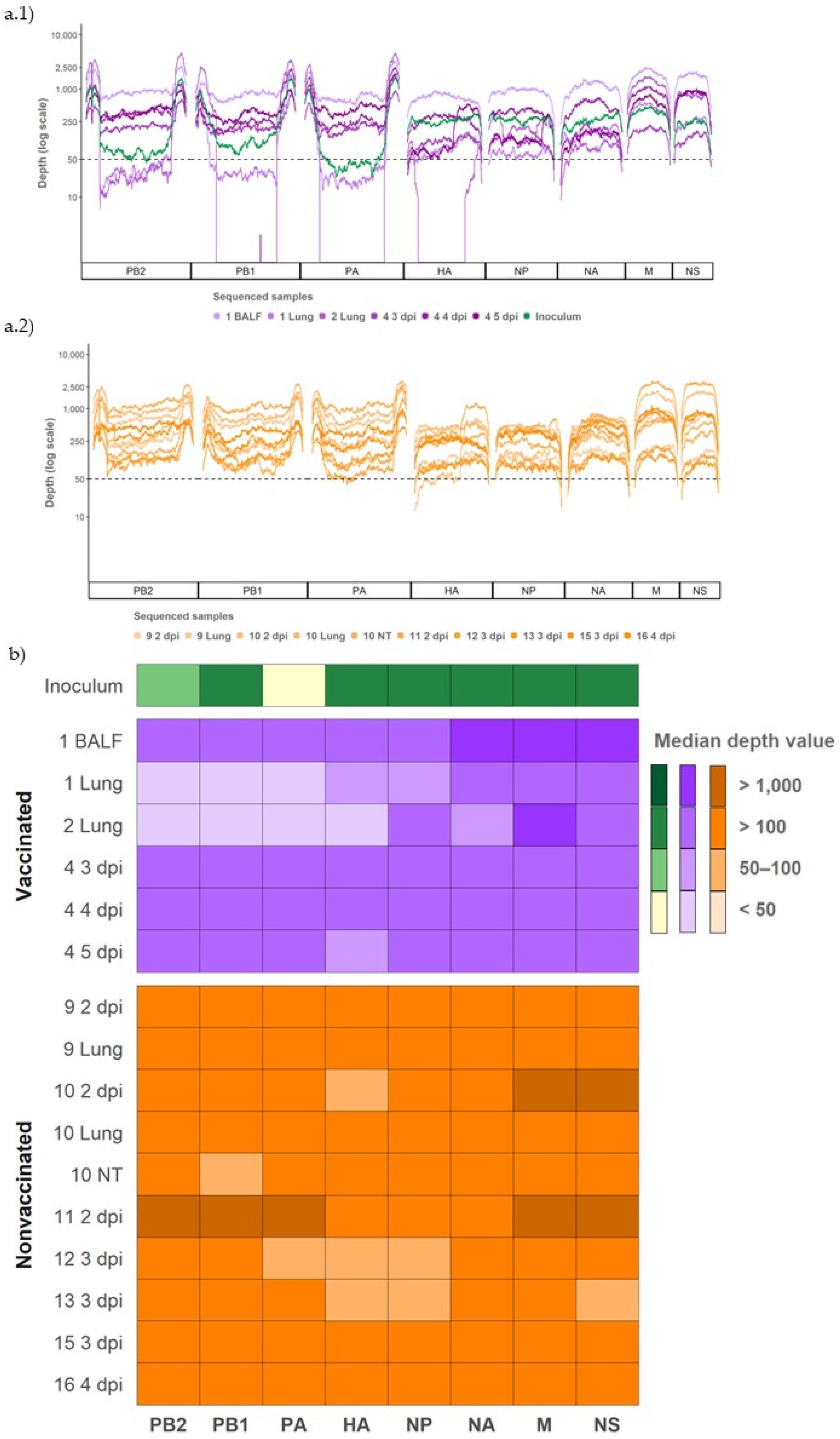 Viruses 14 02008 g004