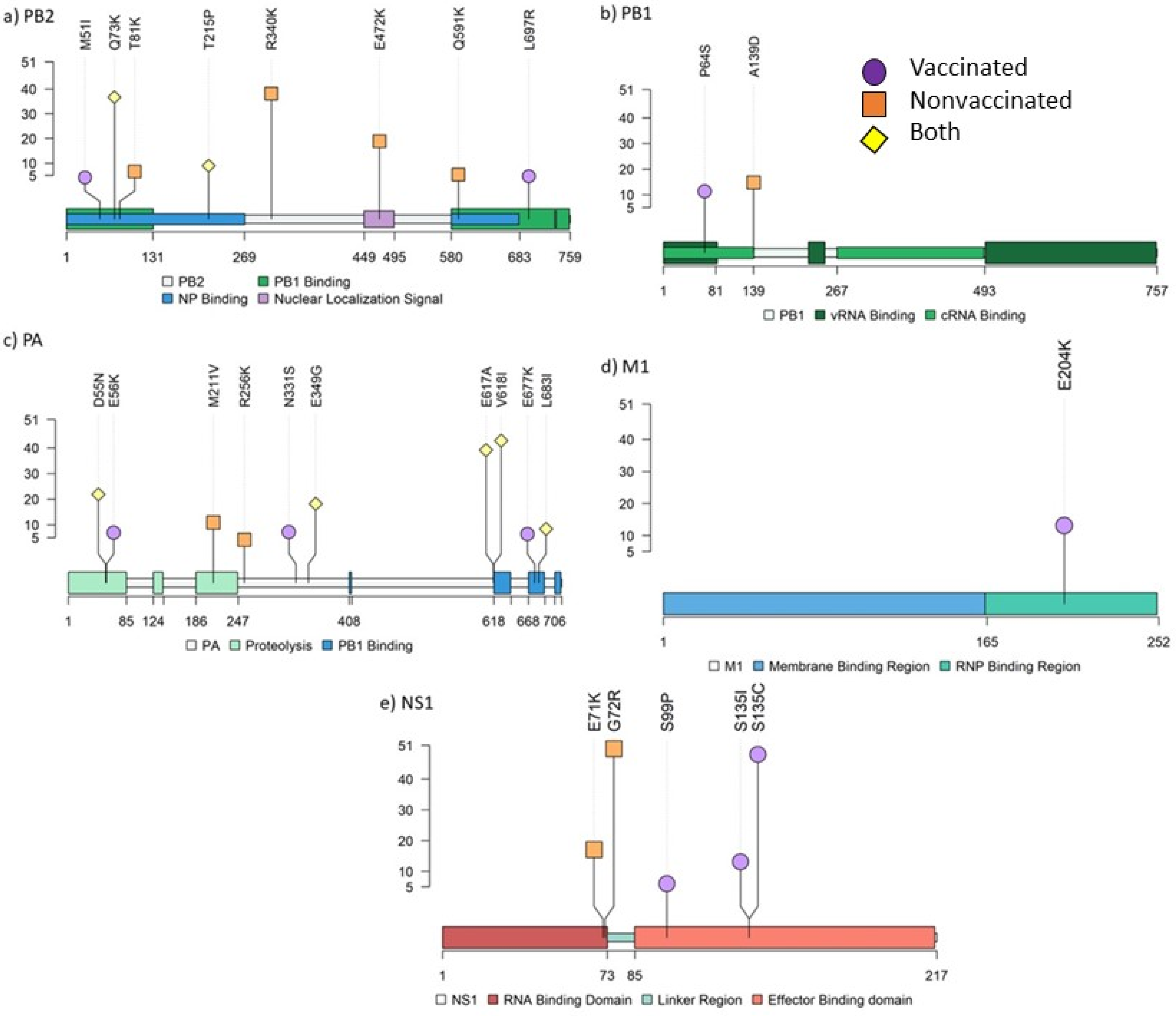 Viruses 14 02008 g008