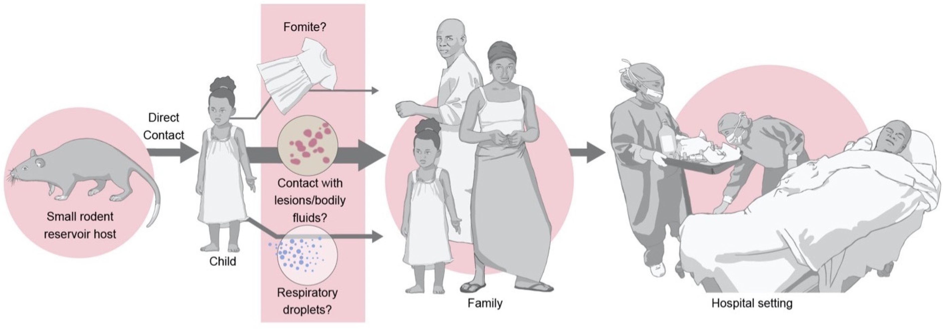 Viruses 14 02012 g002