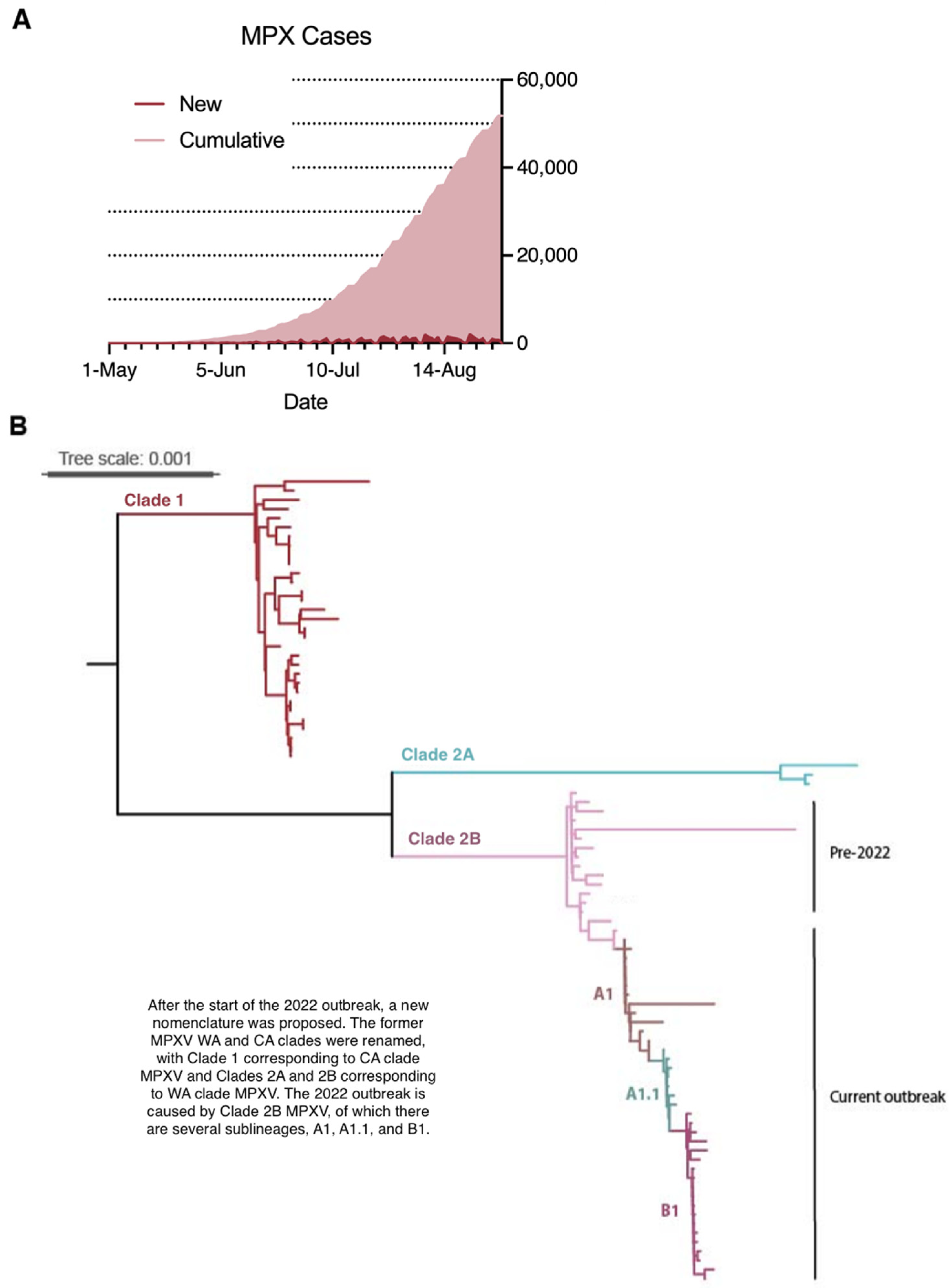 Viruses 14 02012 g004