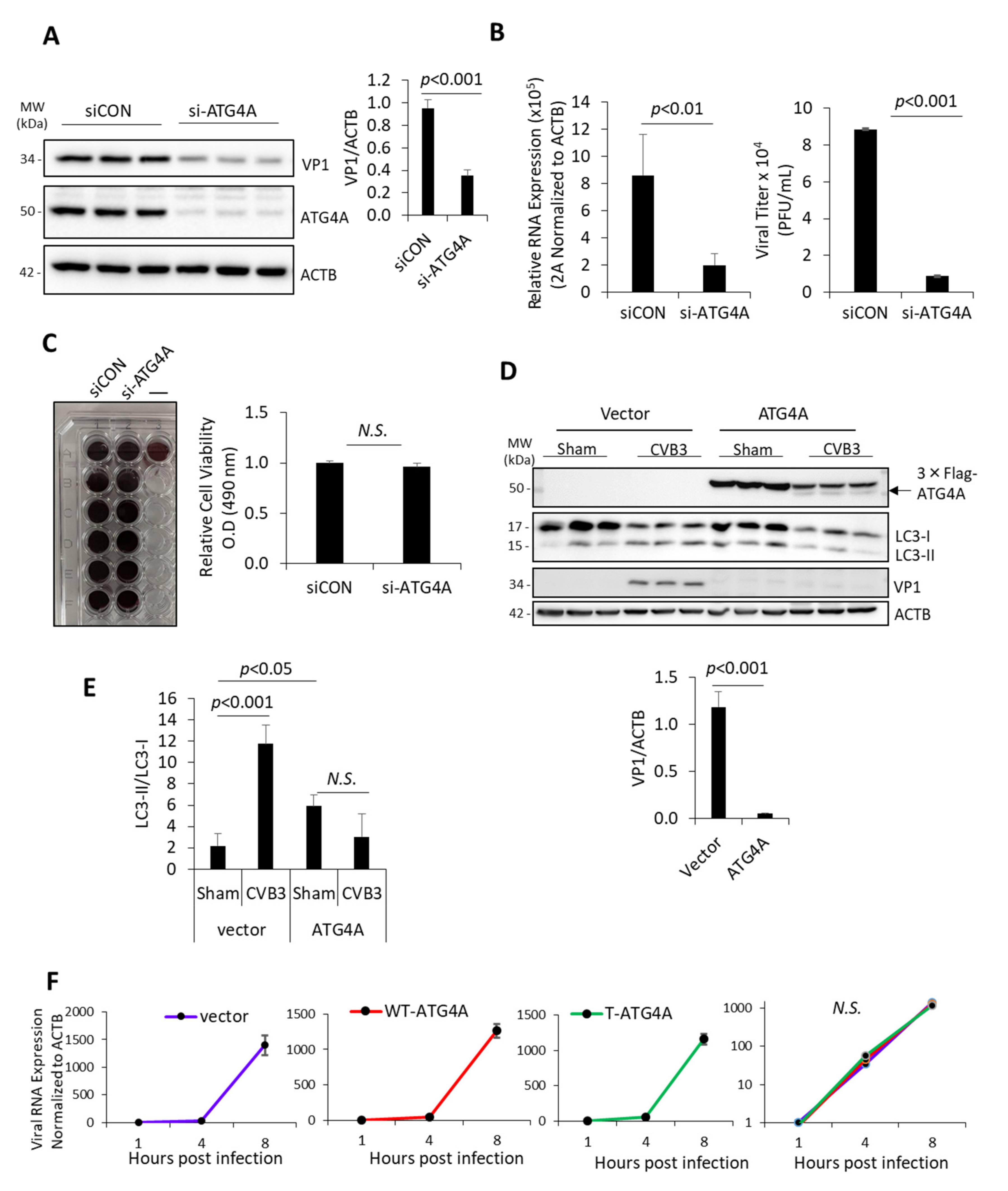 Viruses 14 02026 g003