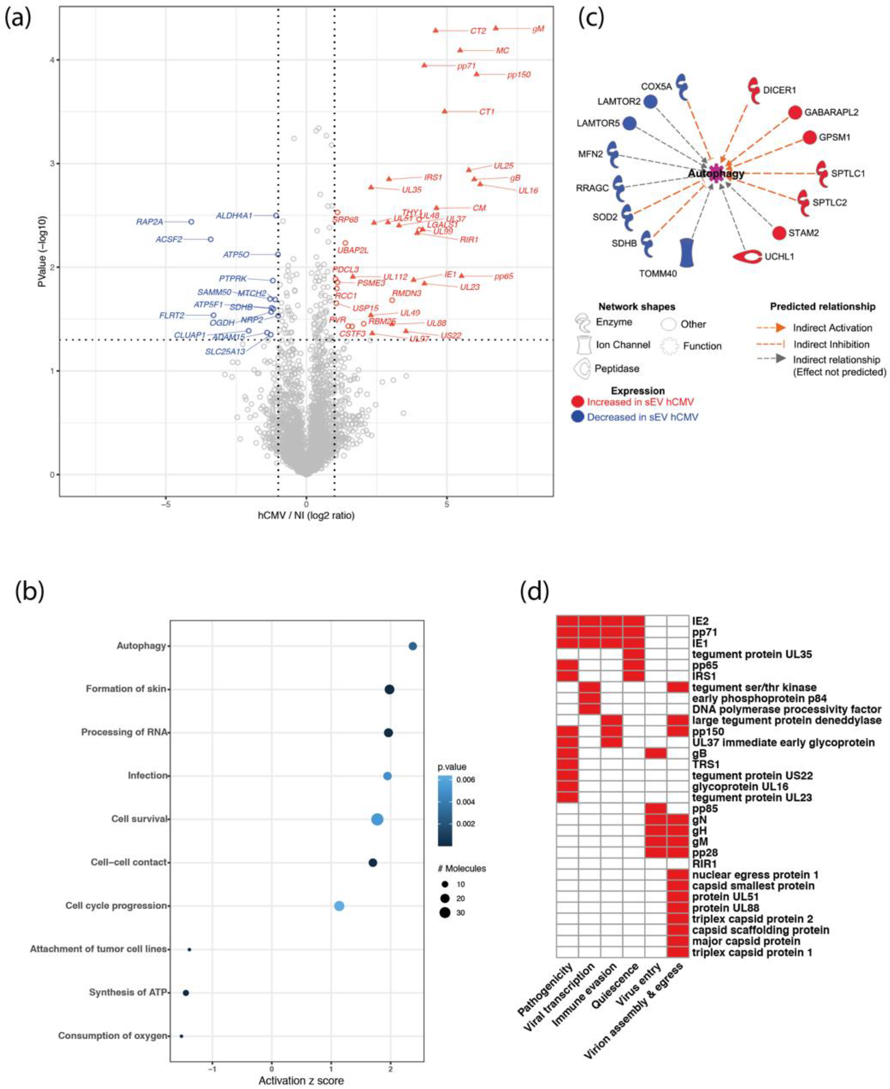 Viruses 14 02030 g002