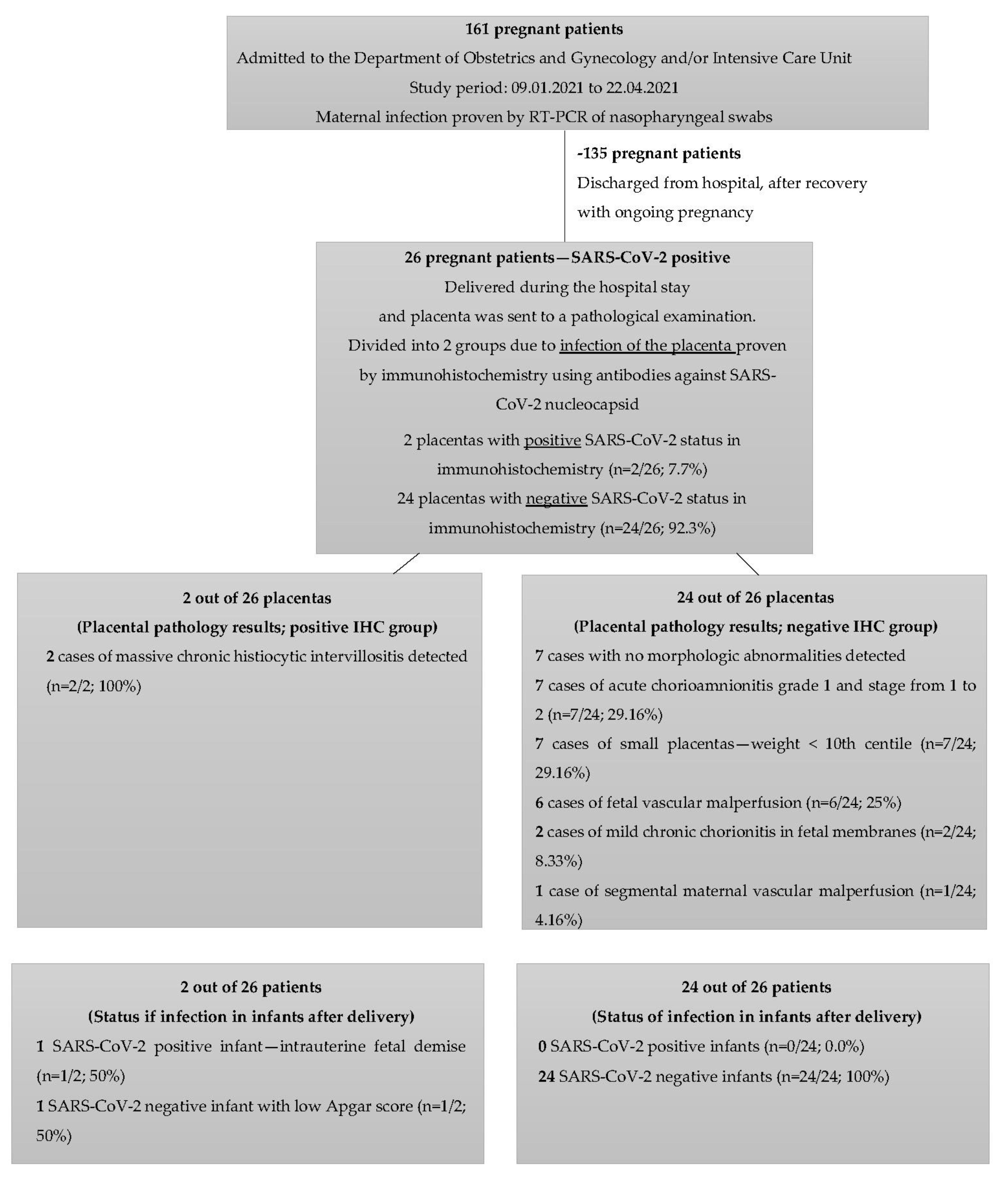 Viruses 14 02043 g001