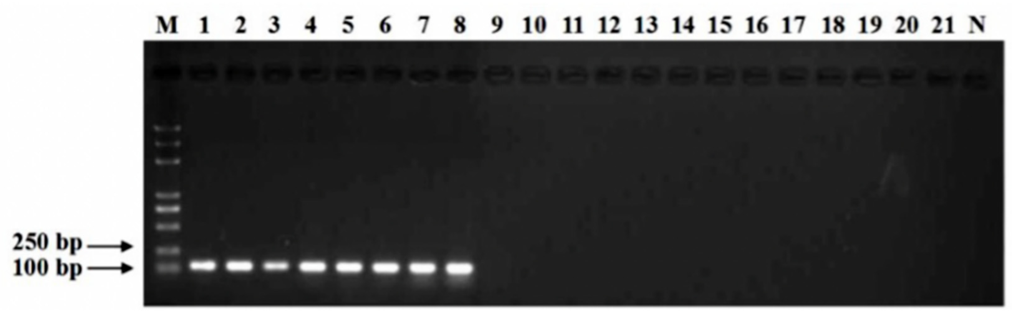 Viruses 14 02046 g001