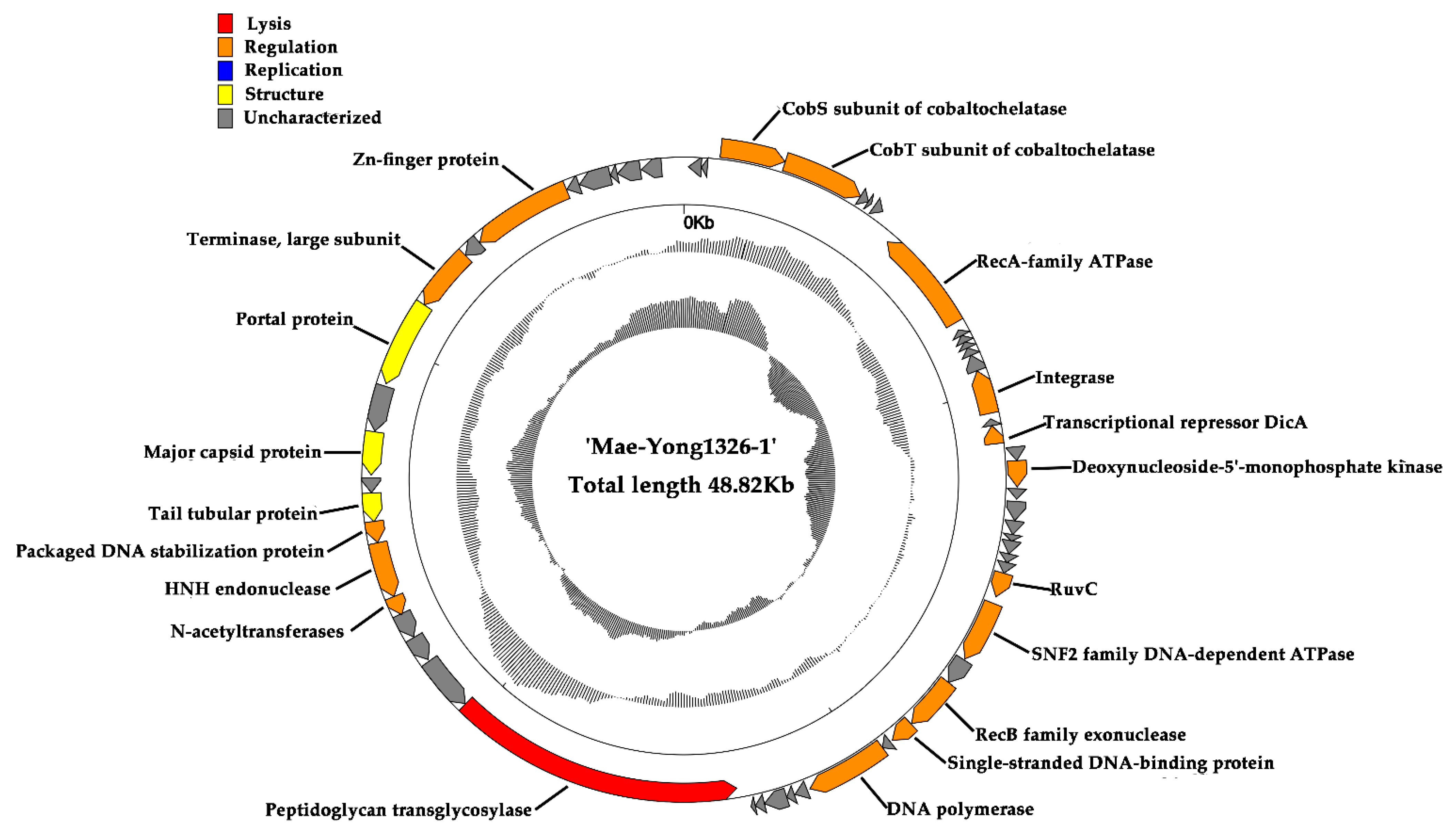 Viruses 14 02051 g004