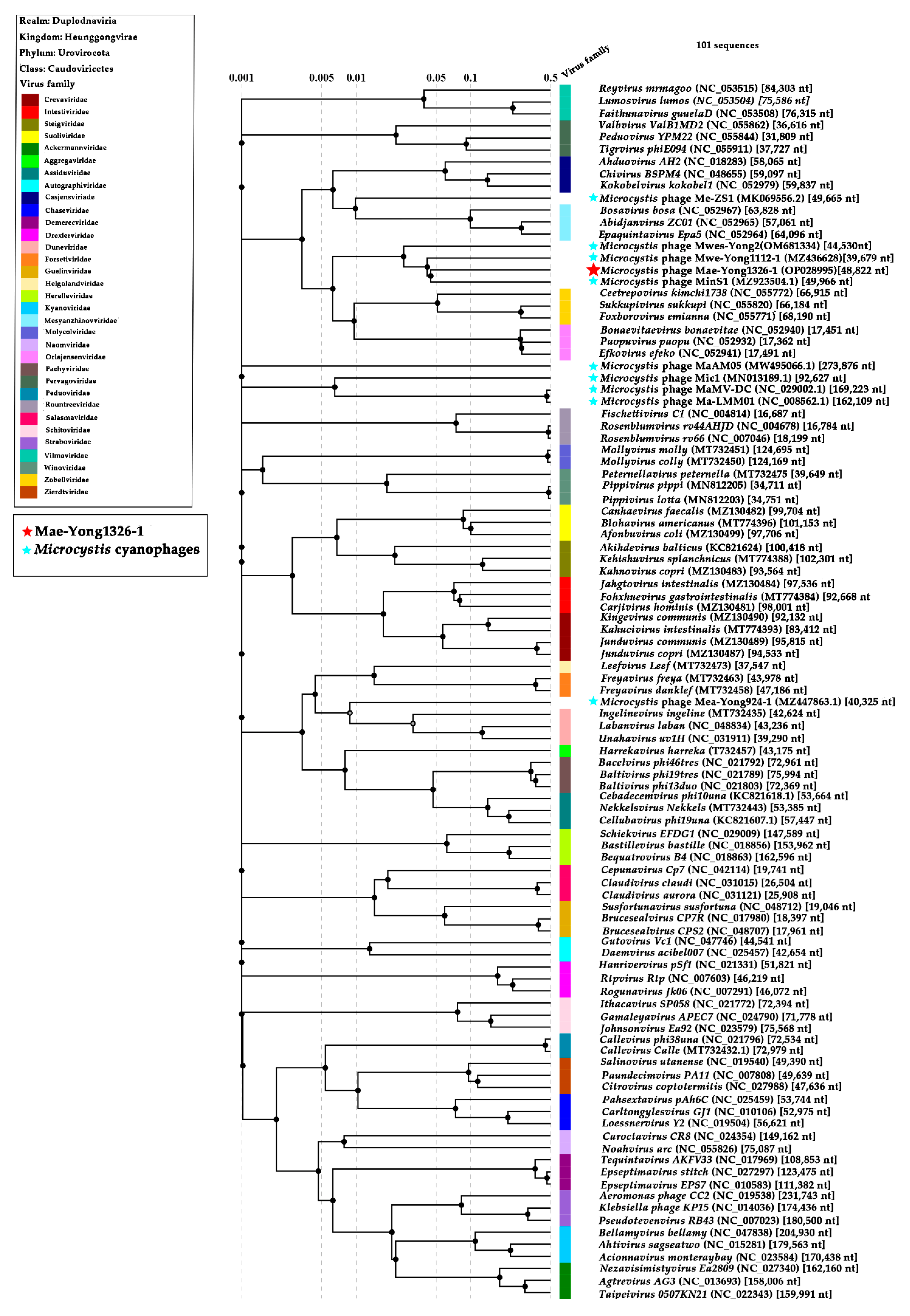 Viruses 14 02051 g005