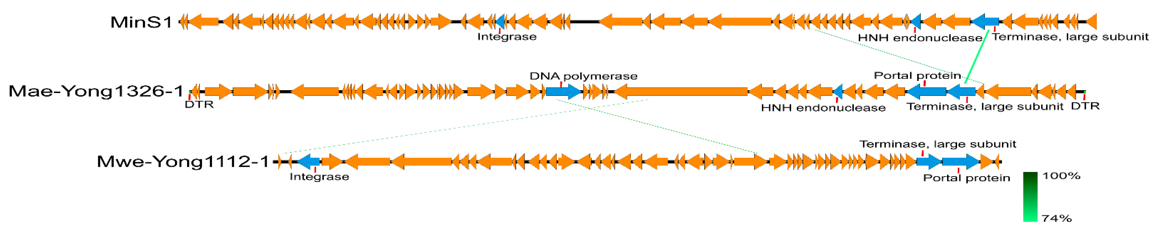 Viruses 14 02051 g006