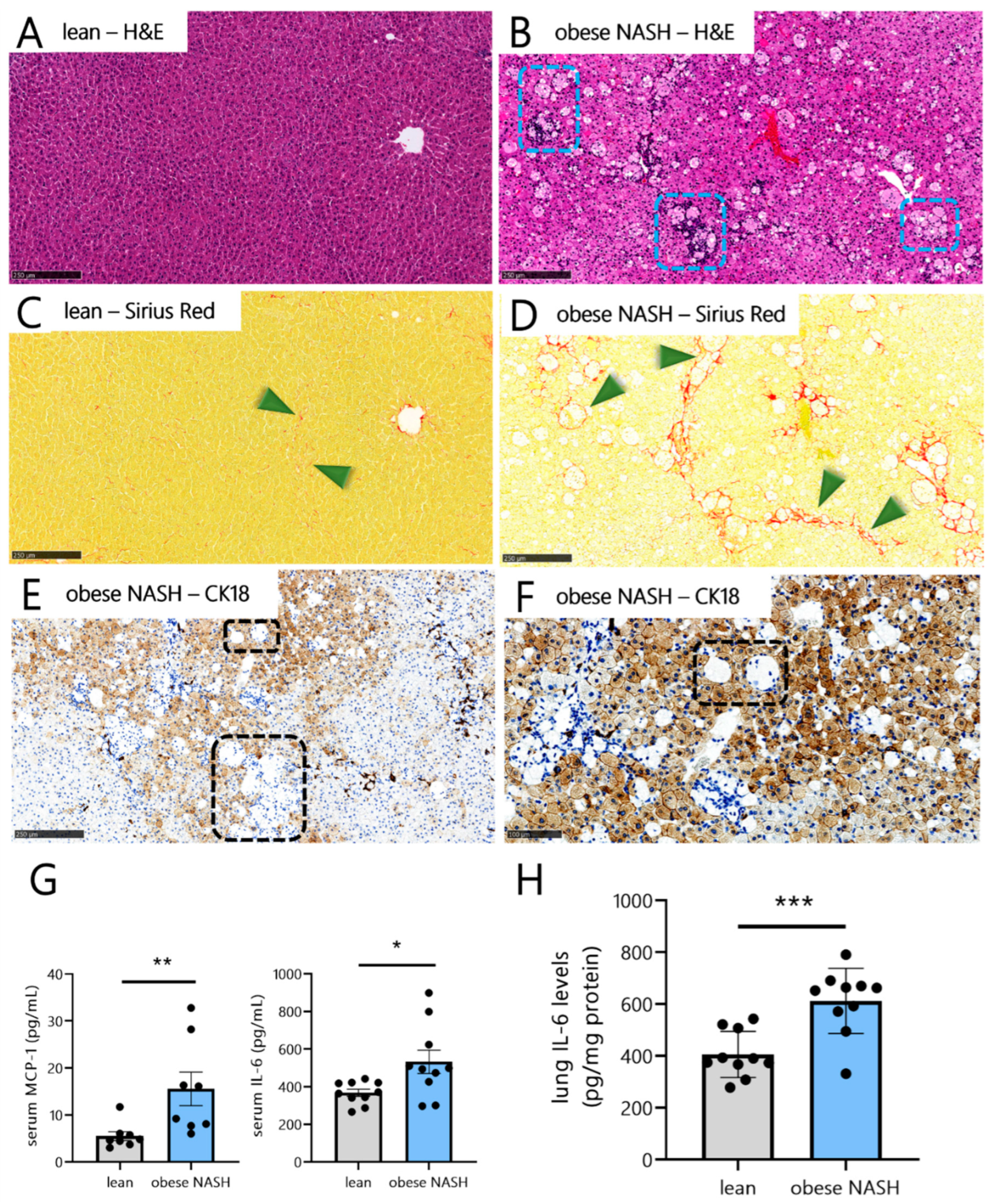 Viruses 14 02067 g001 Viruses 14 02067 g001