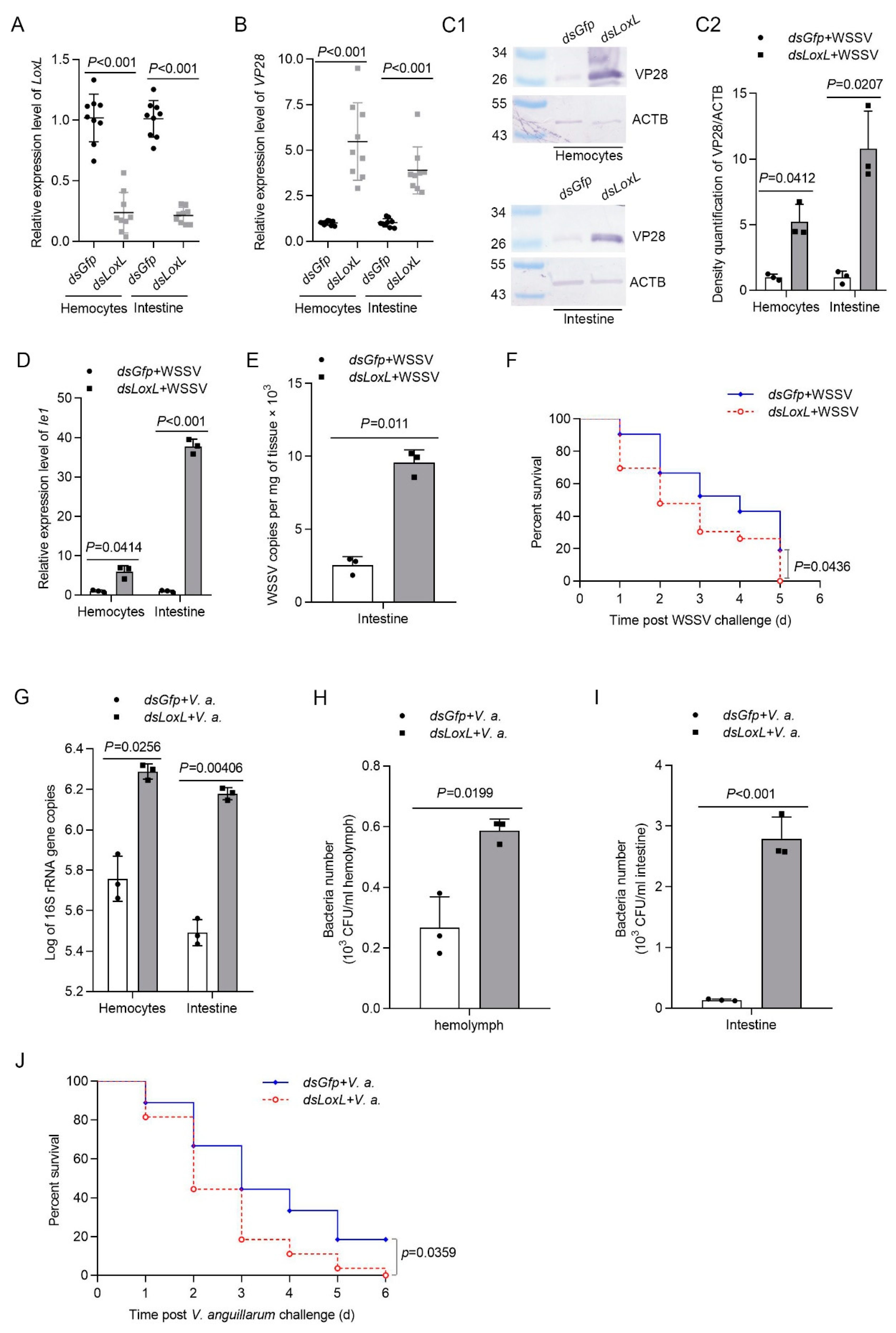 Viruses 14 02072 g002