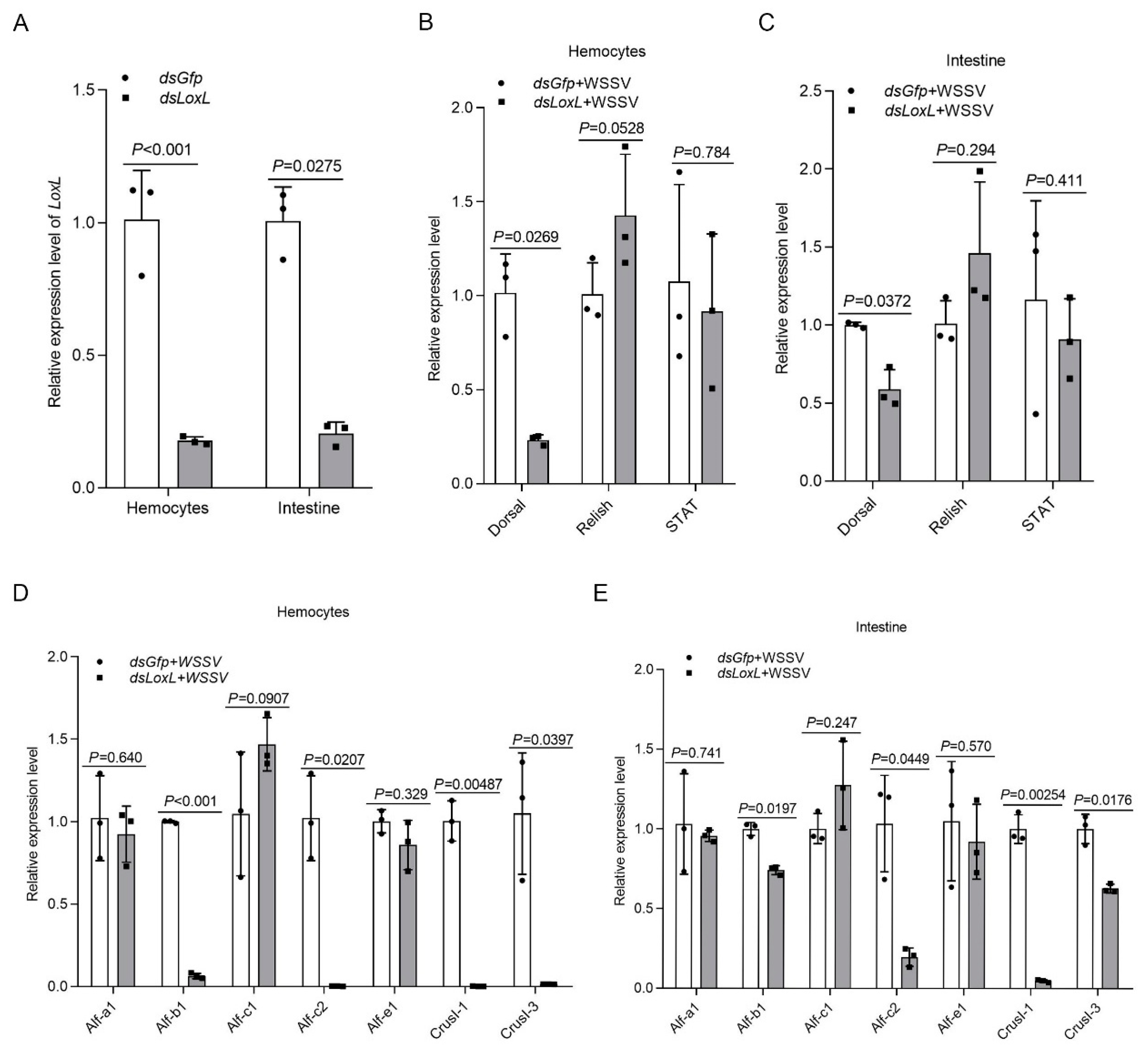 Viruses 14 02072 g003