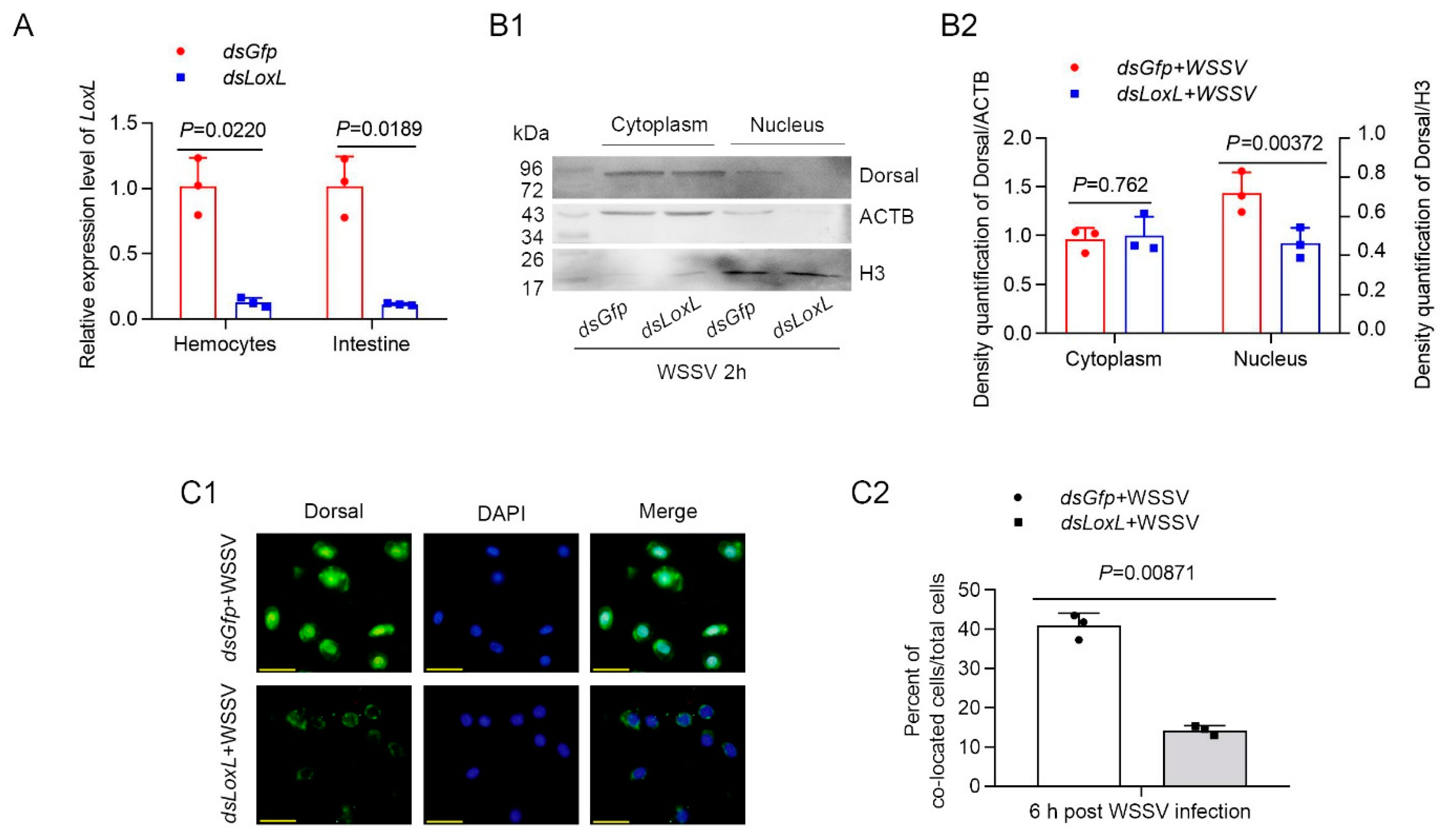 Viruses 14 02072 g004