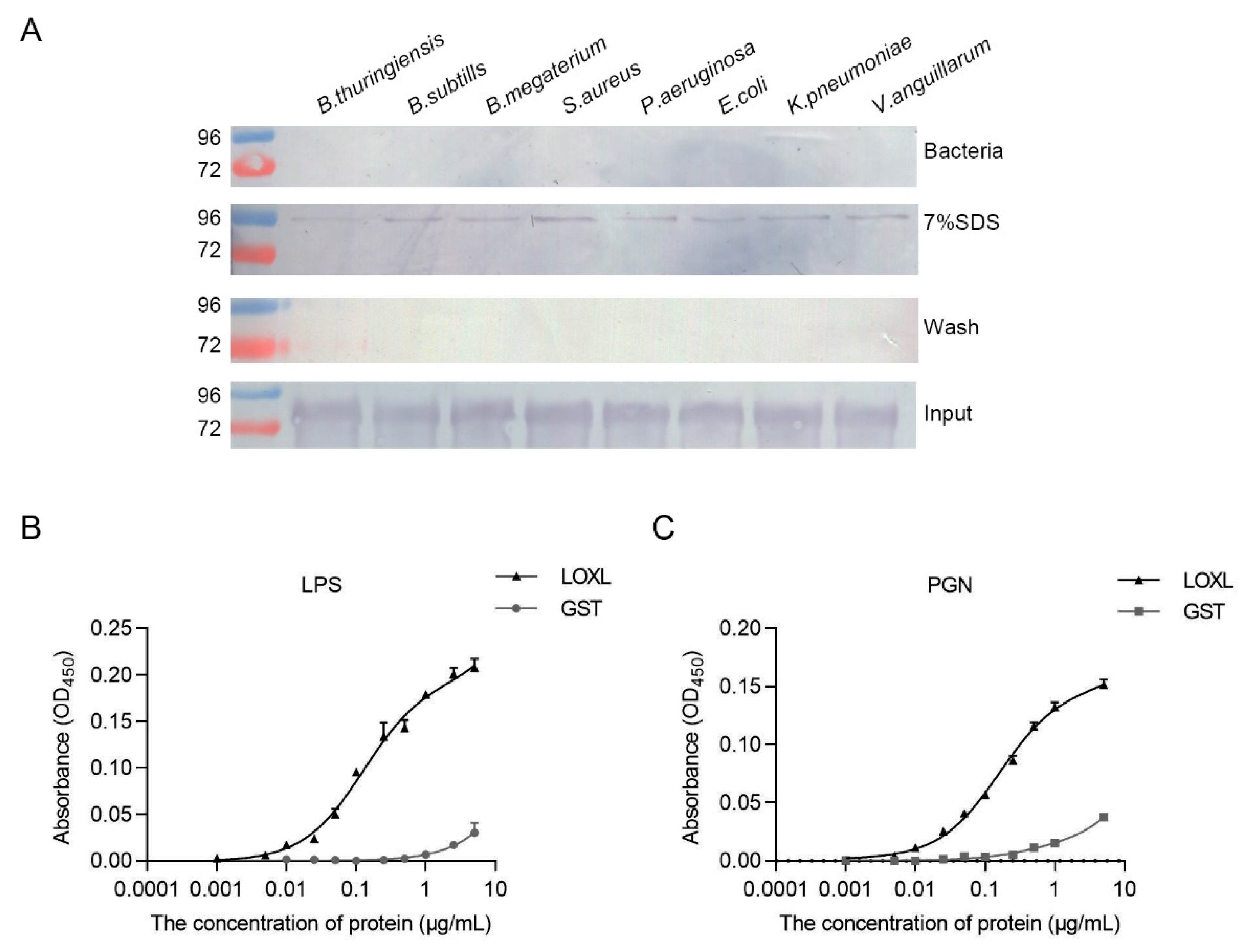 Viruses 14 02072 g007