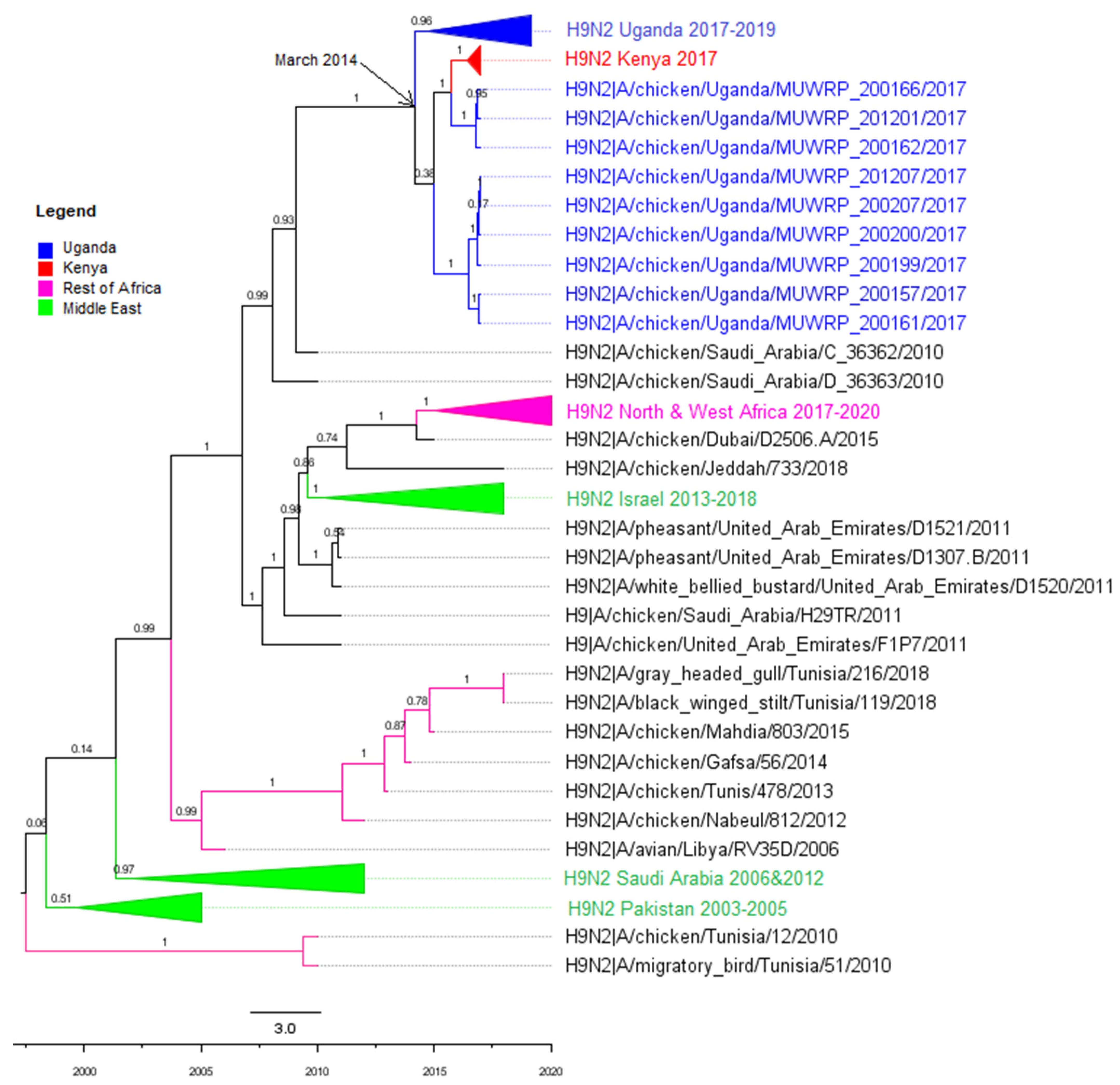Viruses 14 02074 g001