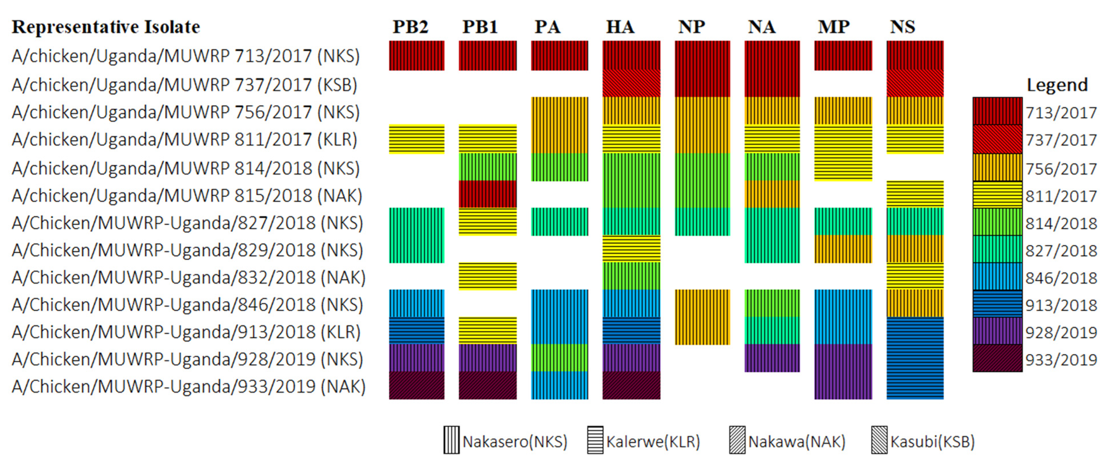 Viruses 14 02074 g004