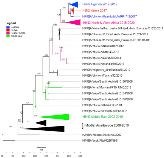Viruses 14 02074 g0a3