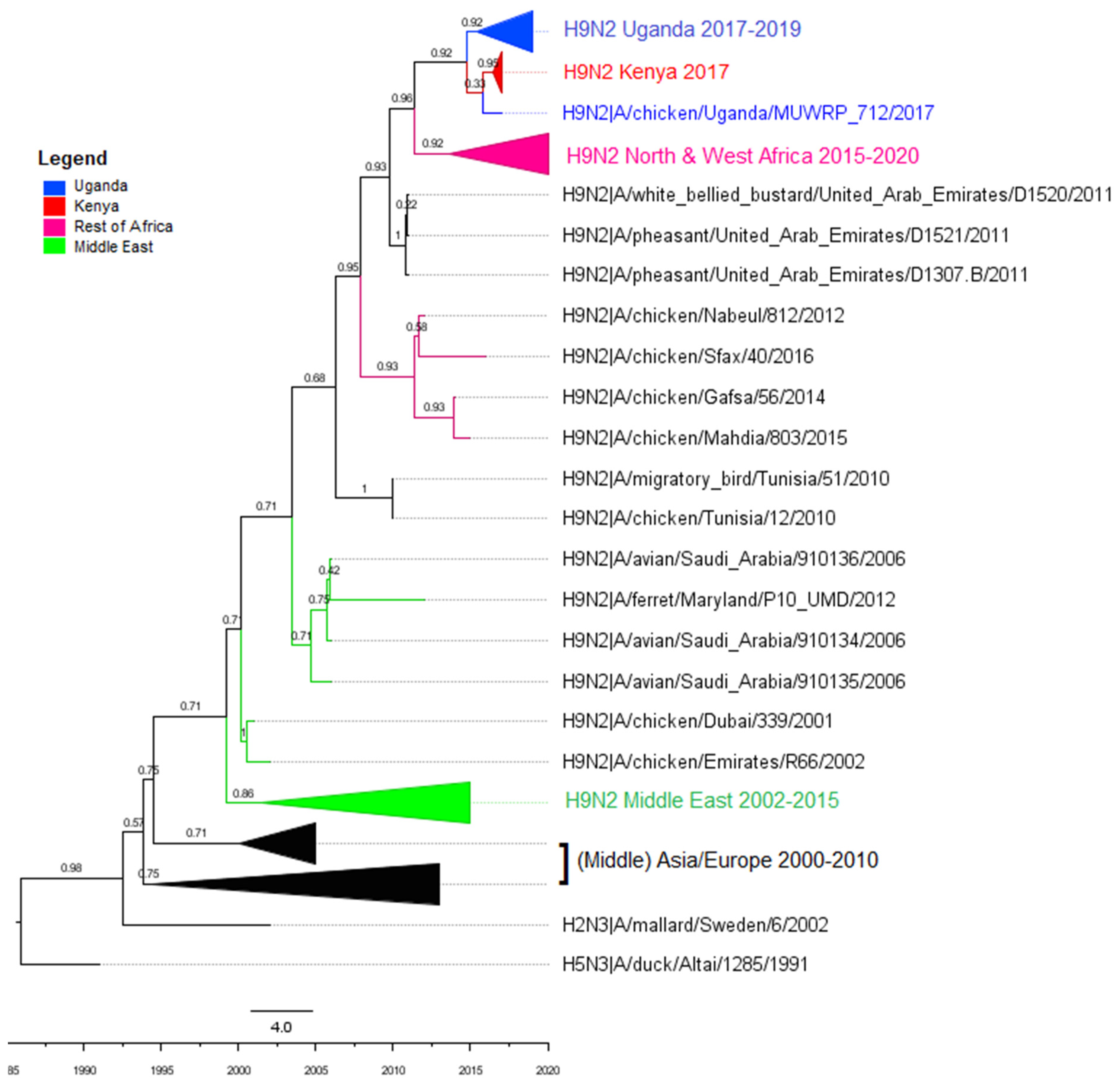 Viruses 14 02074 g0a3