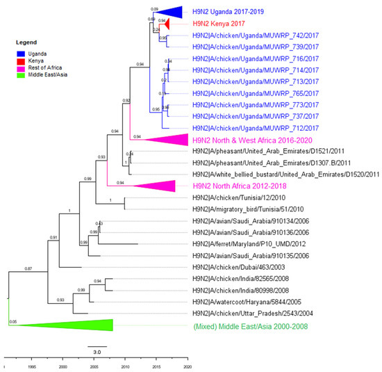 Viruses 14 02074 g0a4