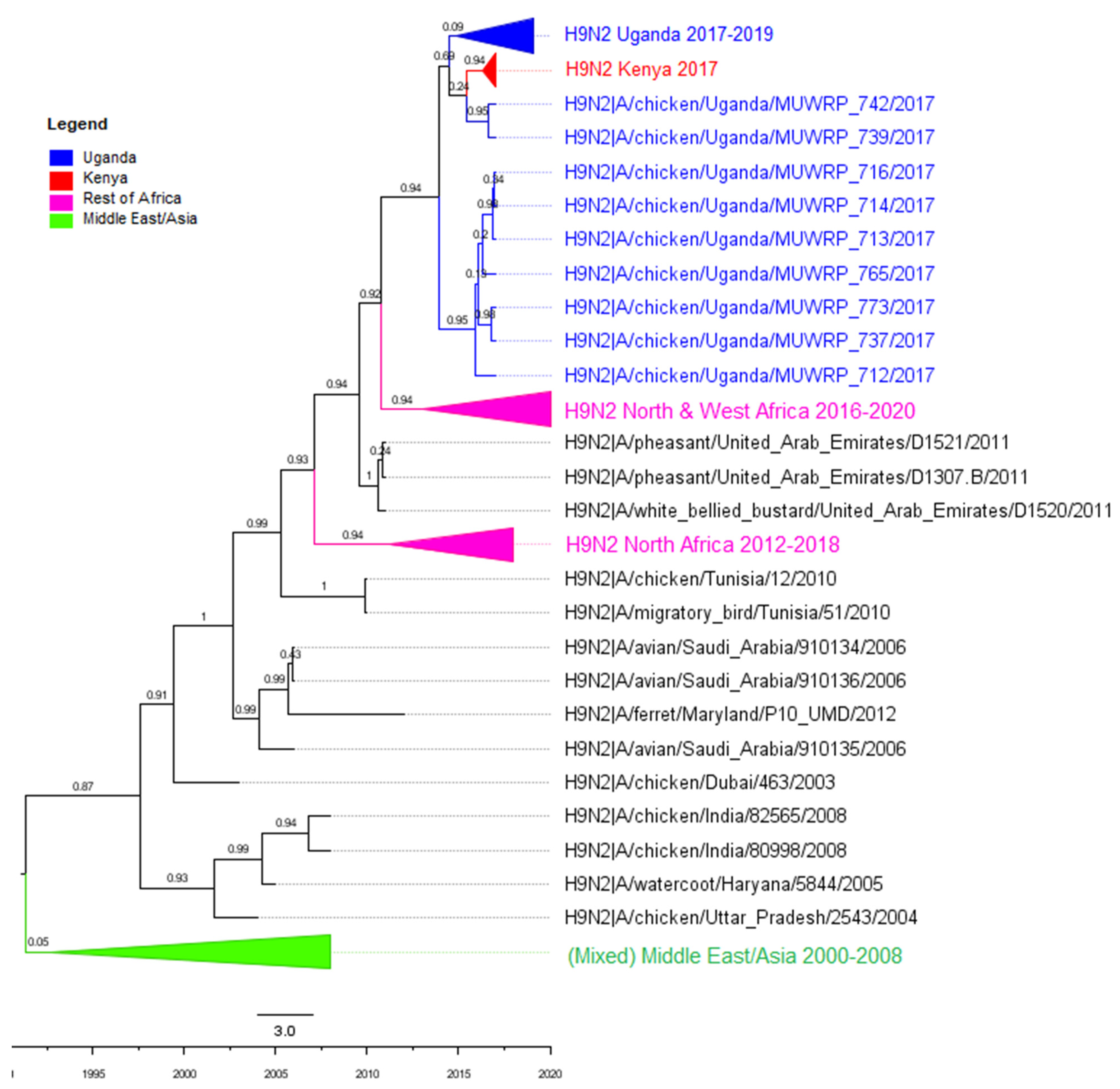 Viruses 14 02074 g0a4