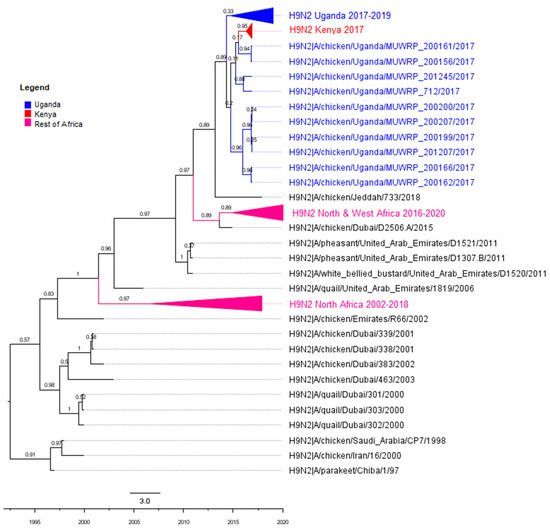 Viruses 14 02074 g0a5