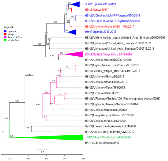 Viruses 14 02074 g0a6