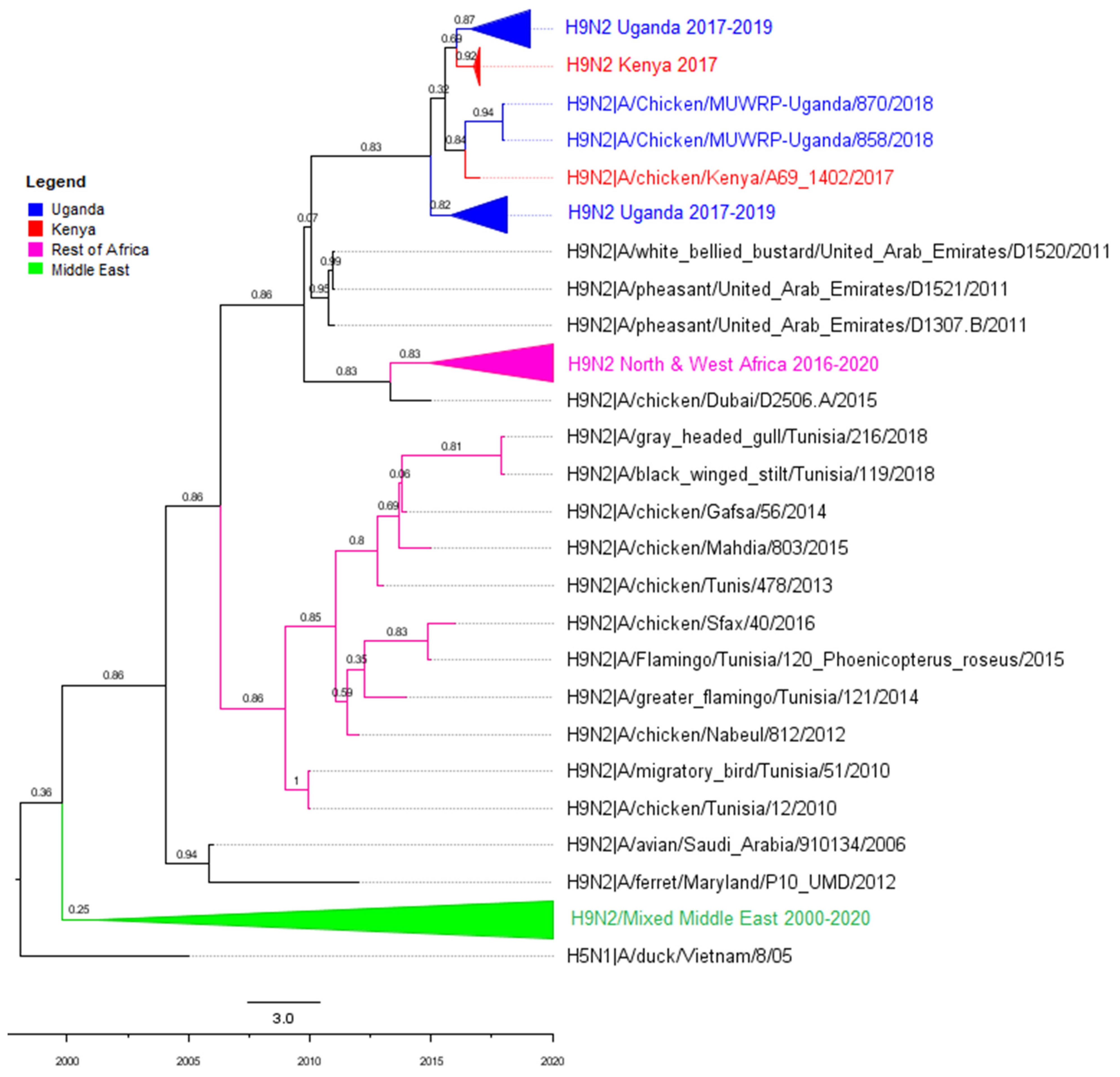 Viruses 14 02074 g0a6