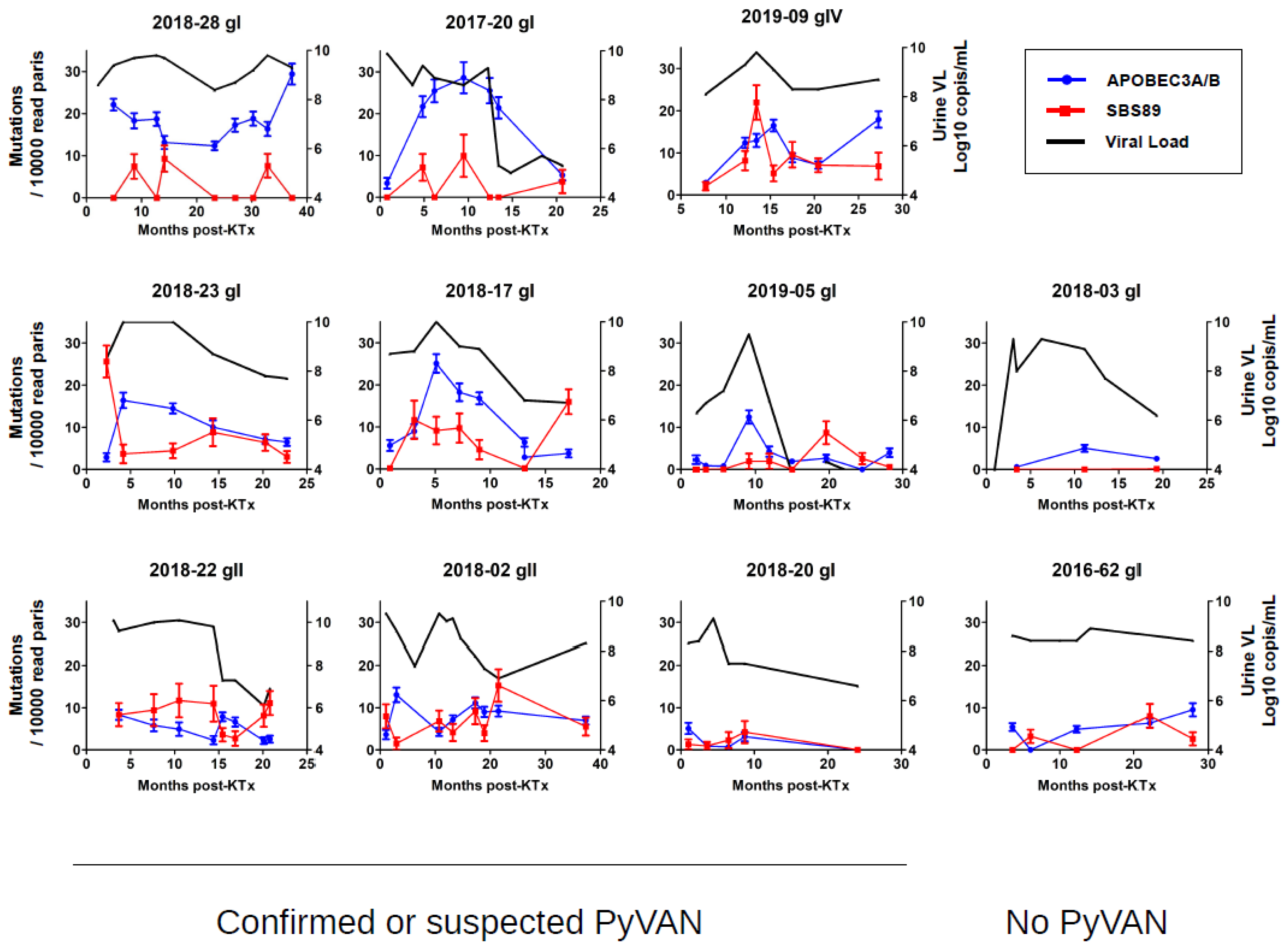 Viruses 14 02077 g004