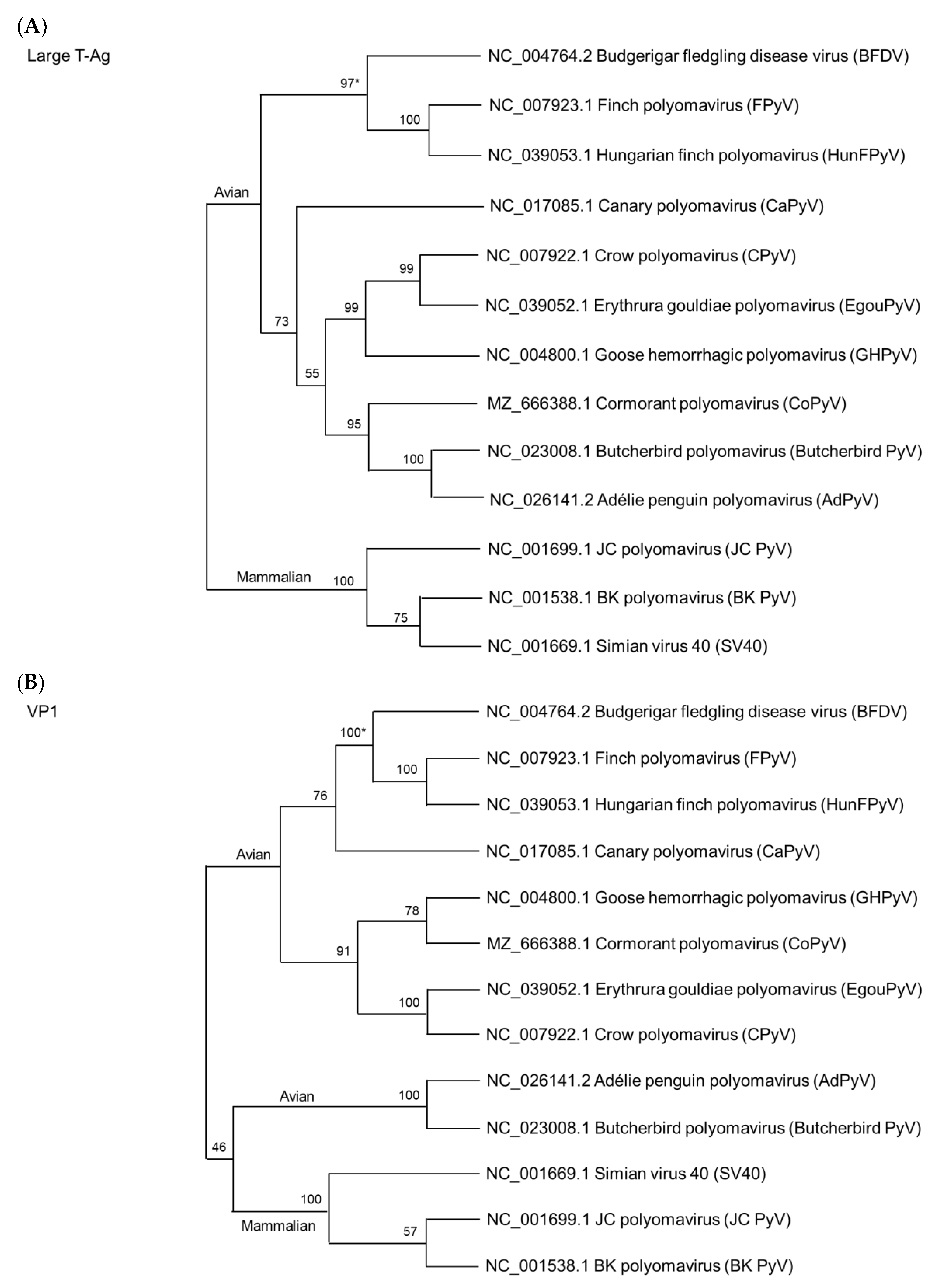 Viruses 14 02079 g003