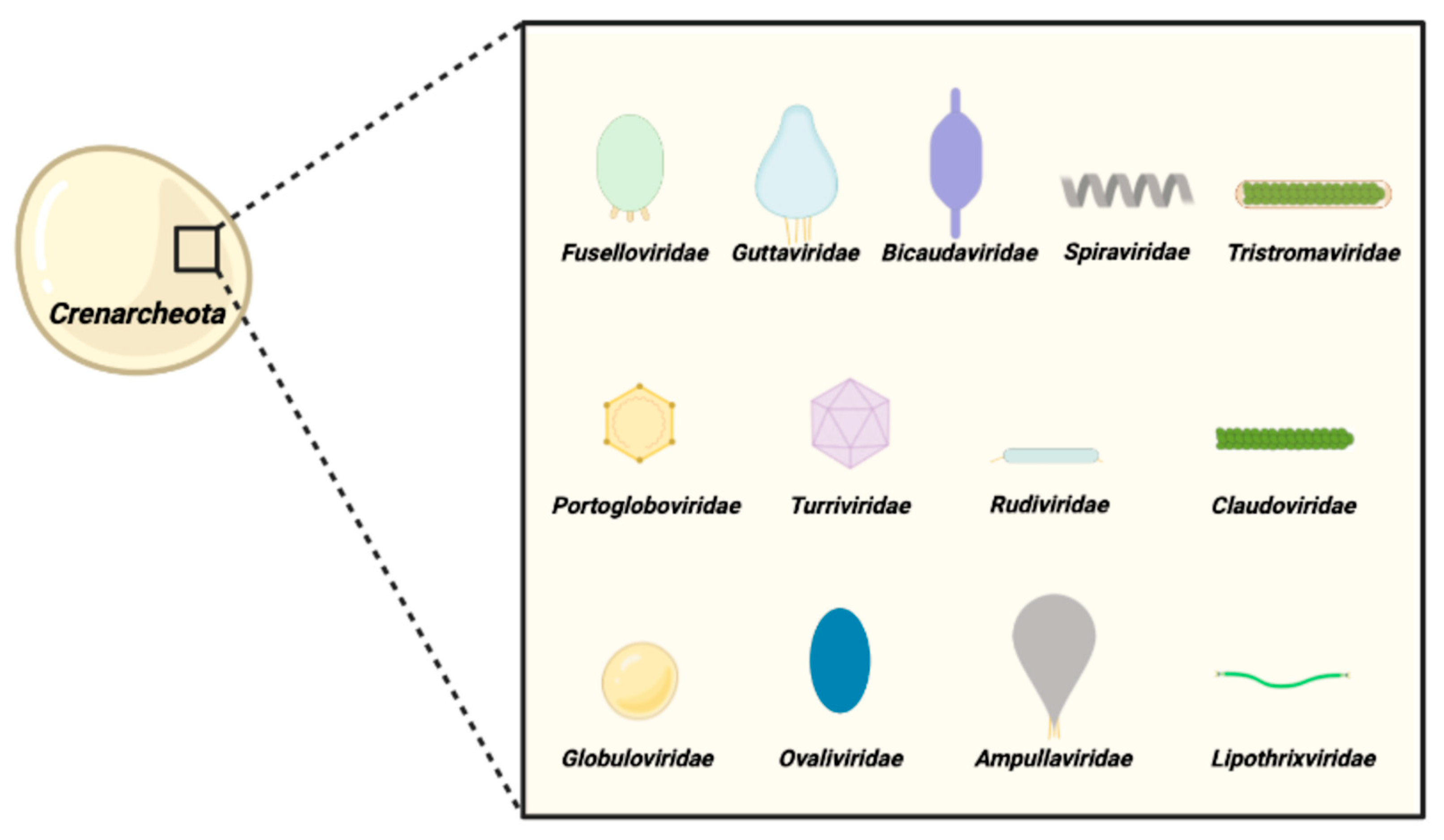 Viruses 14 02082 g001