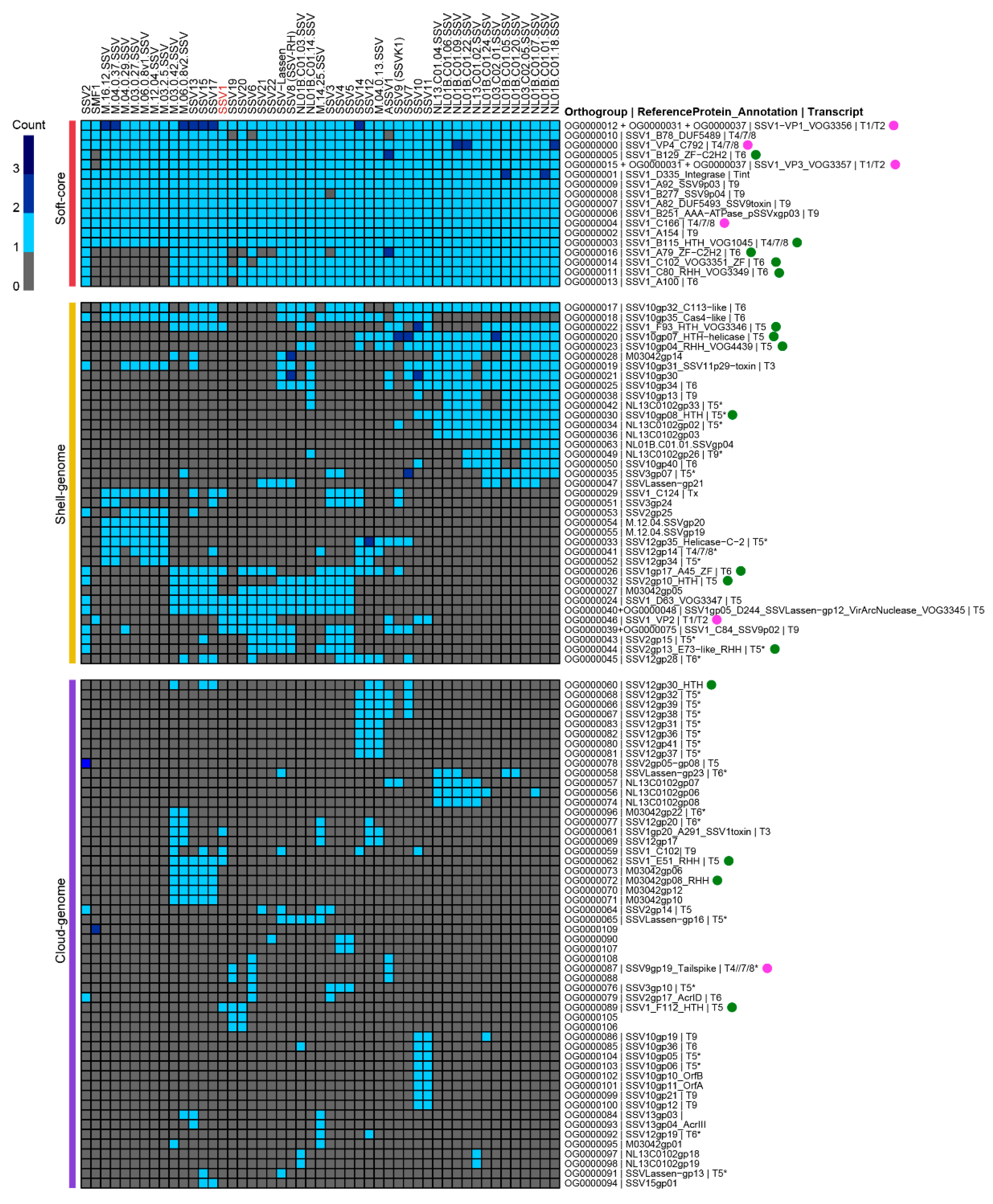 Viruses 14 02082 g002