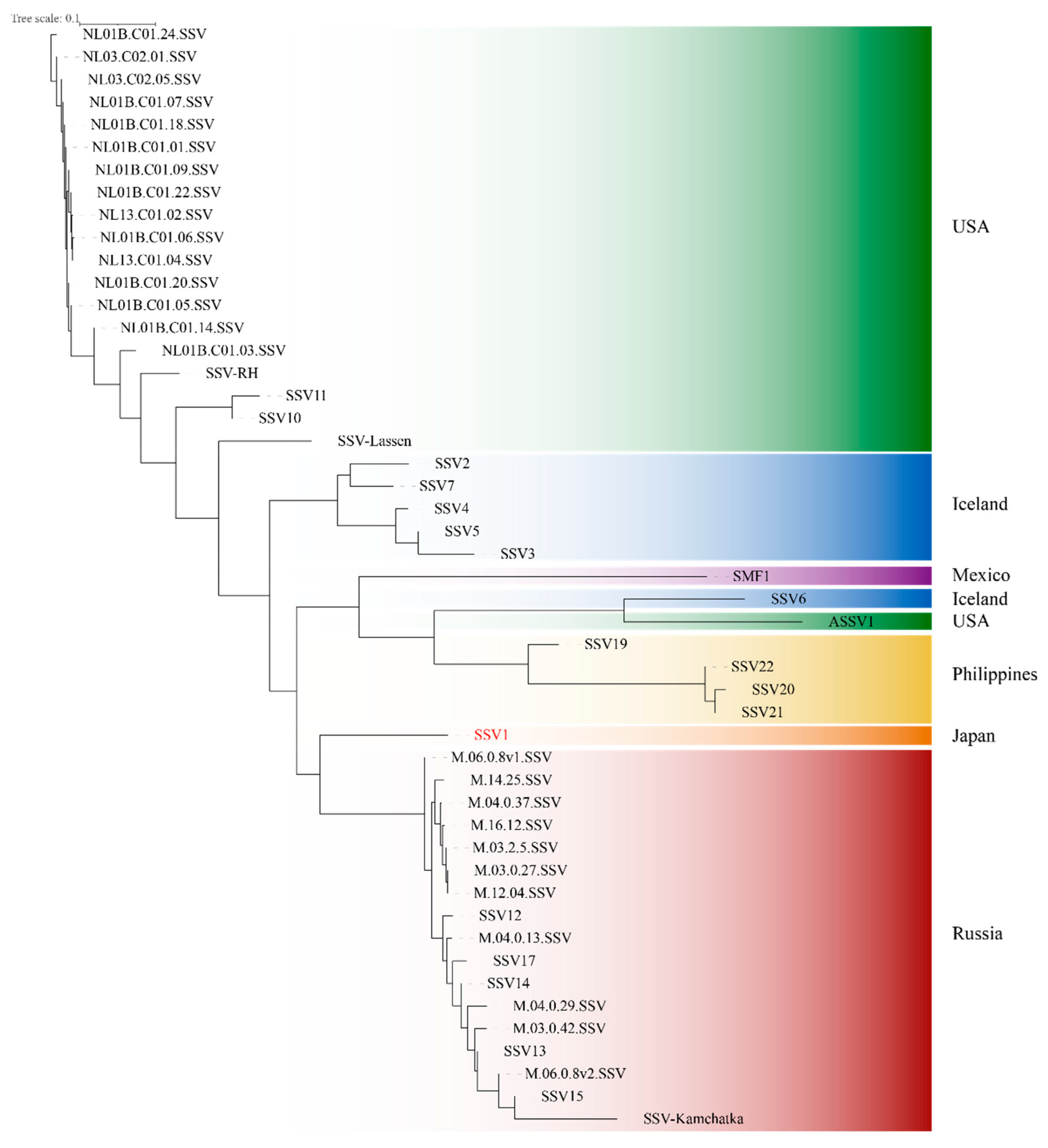Viruses 14 02082 g003