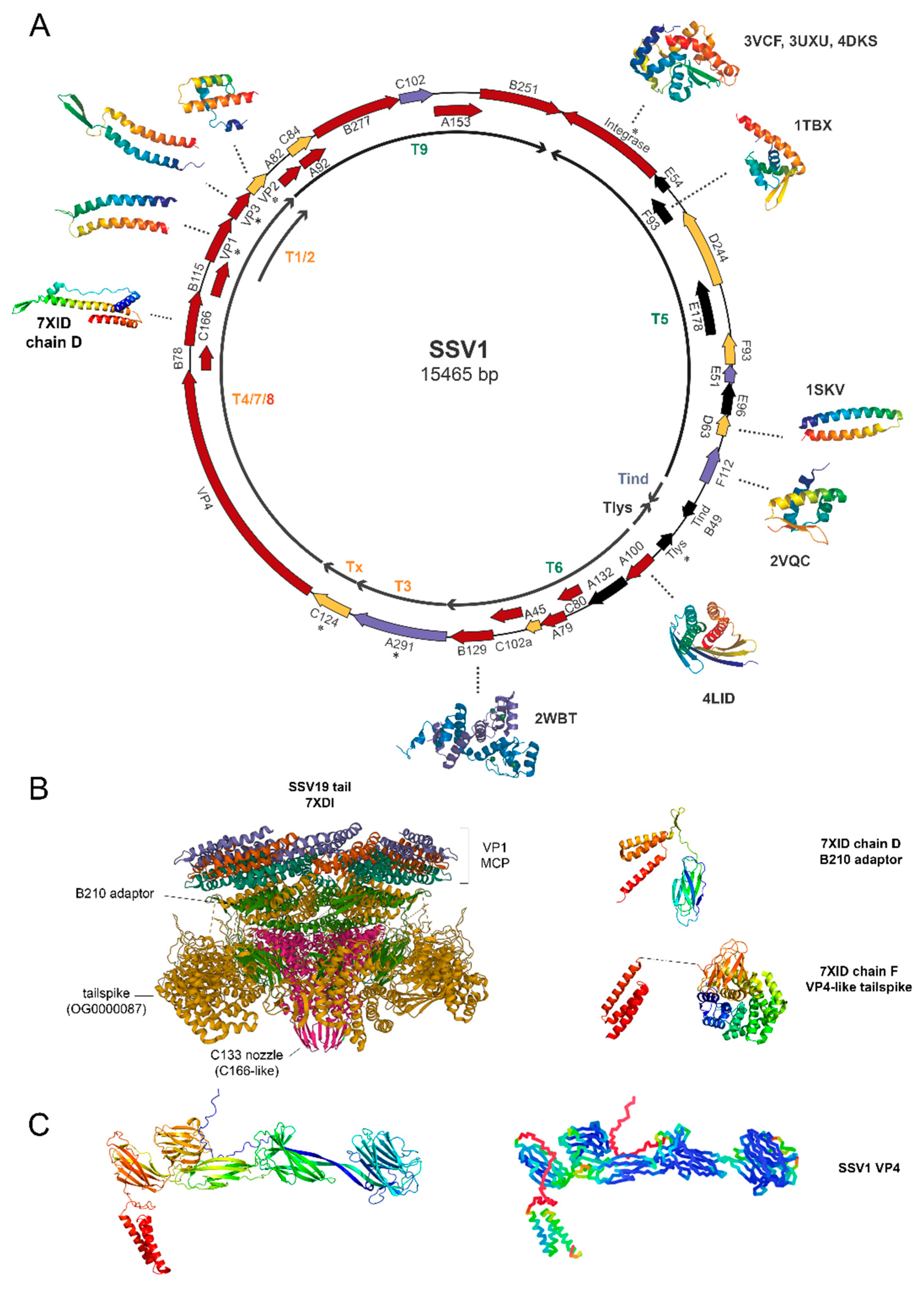 Viruses 14 02082 g004