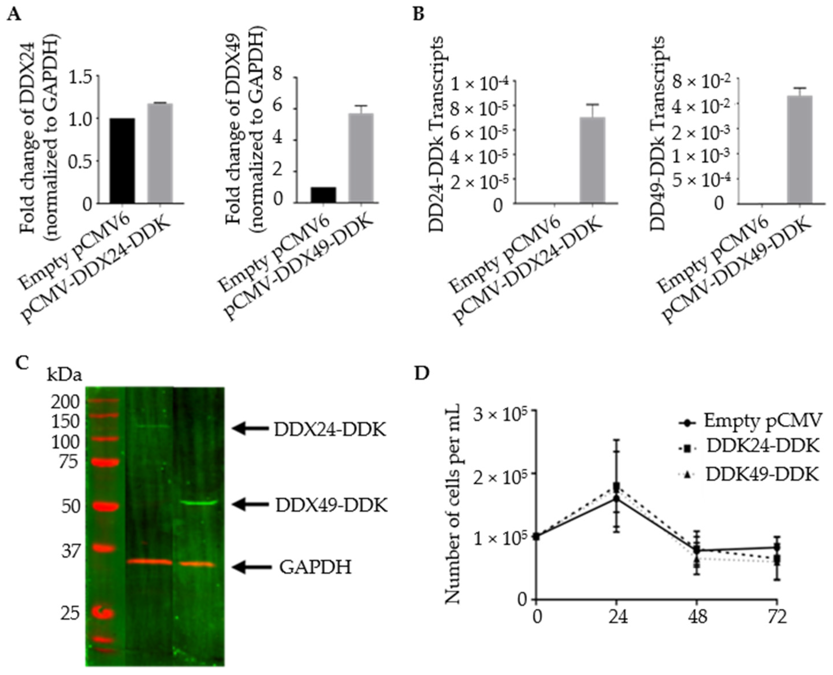 Viruses 14 02083 g002