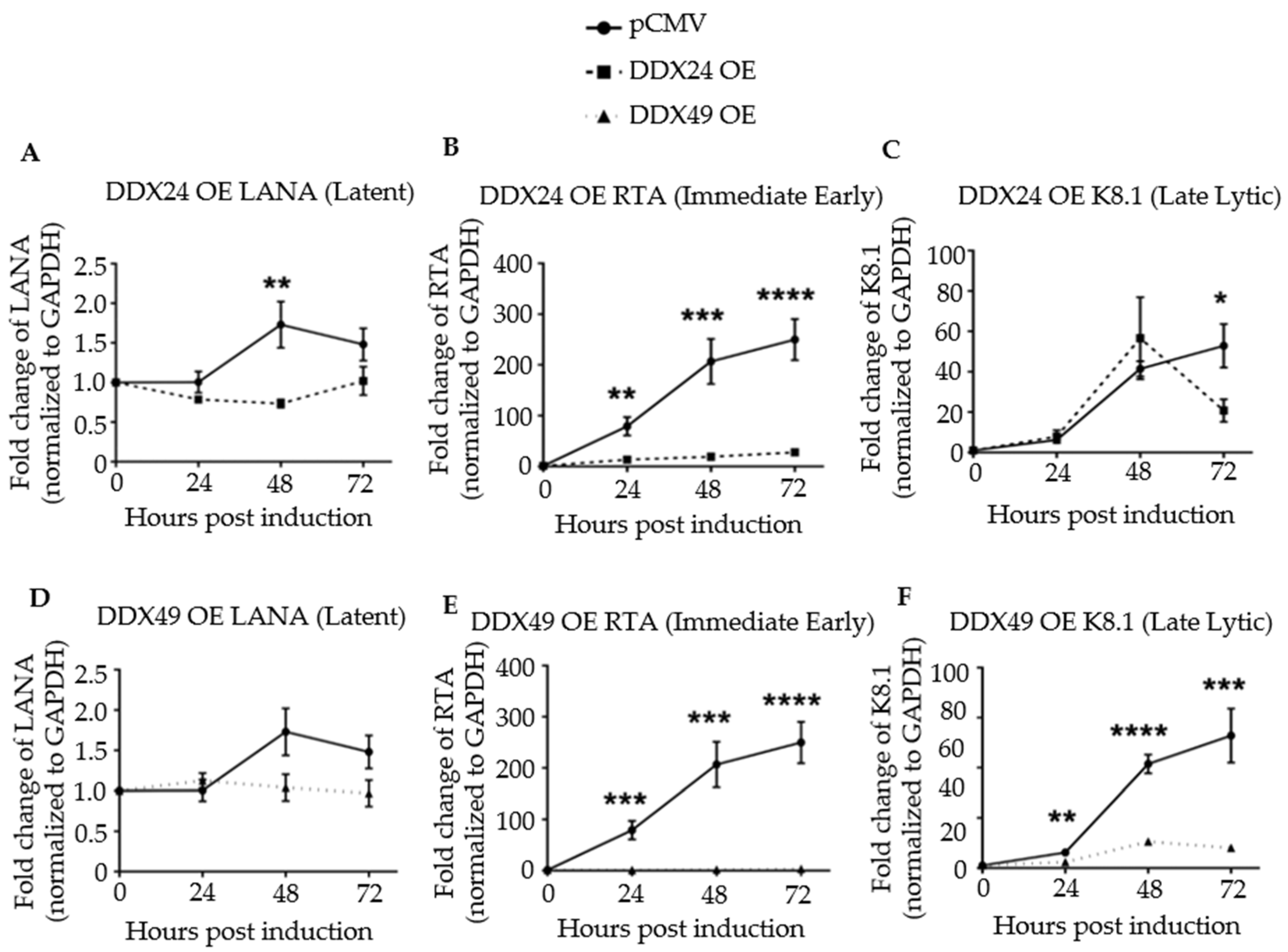 Viruses 14 02083 g003