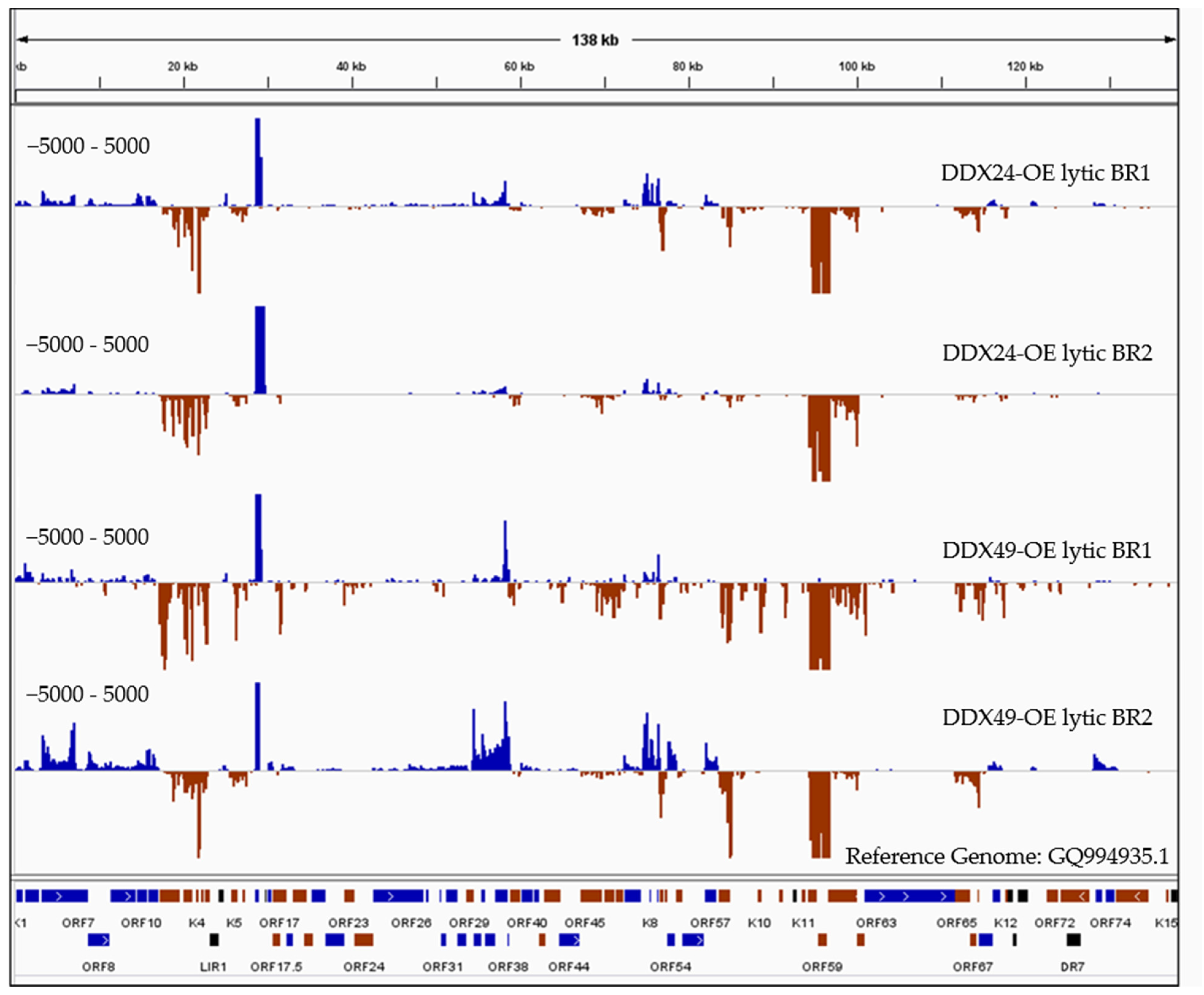 Viruses 14 02083 g006