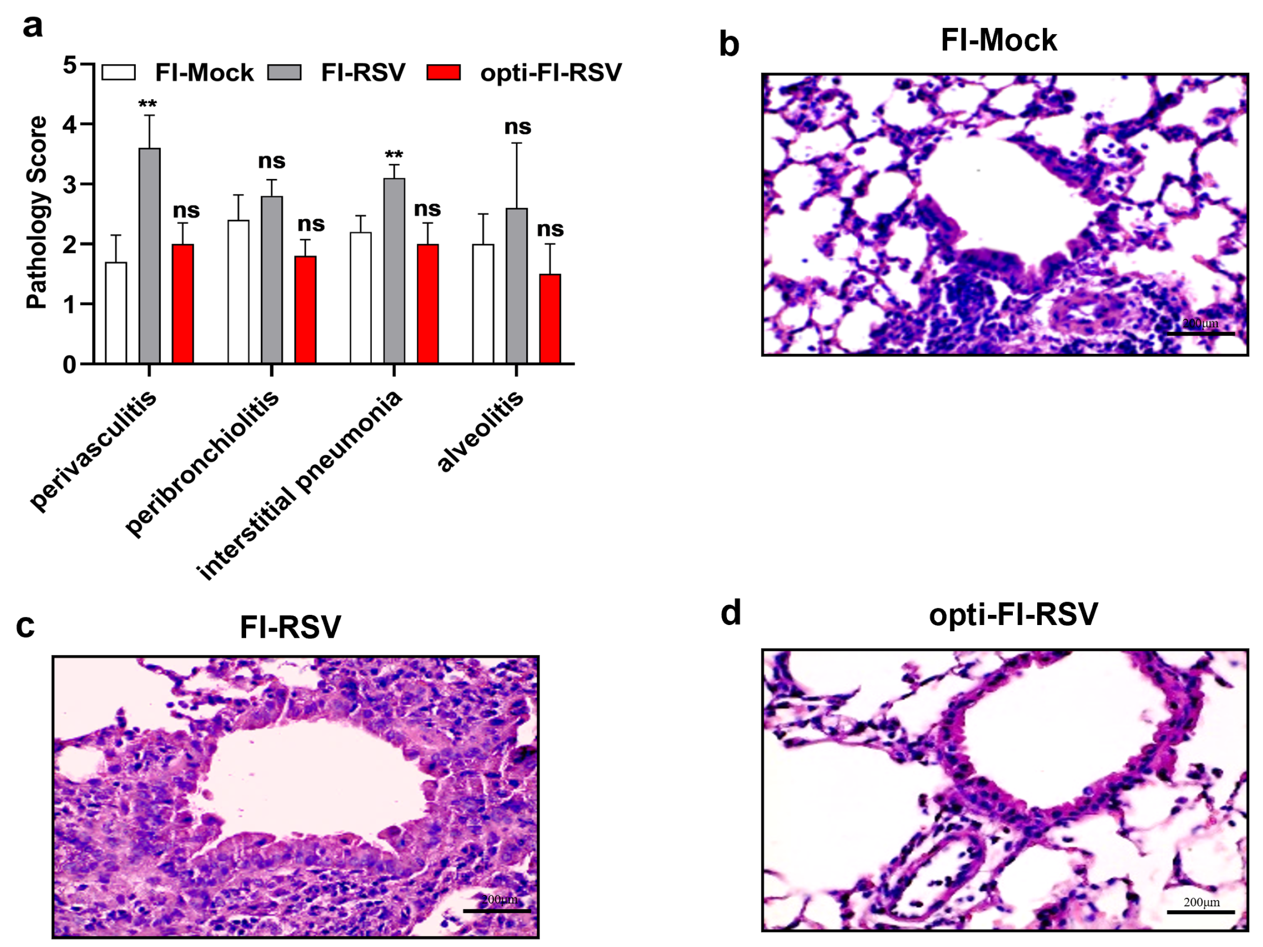 Viruses 14 02085 g004