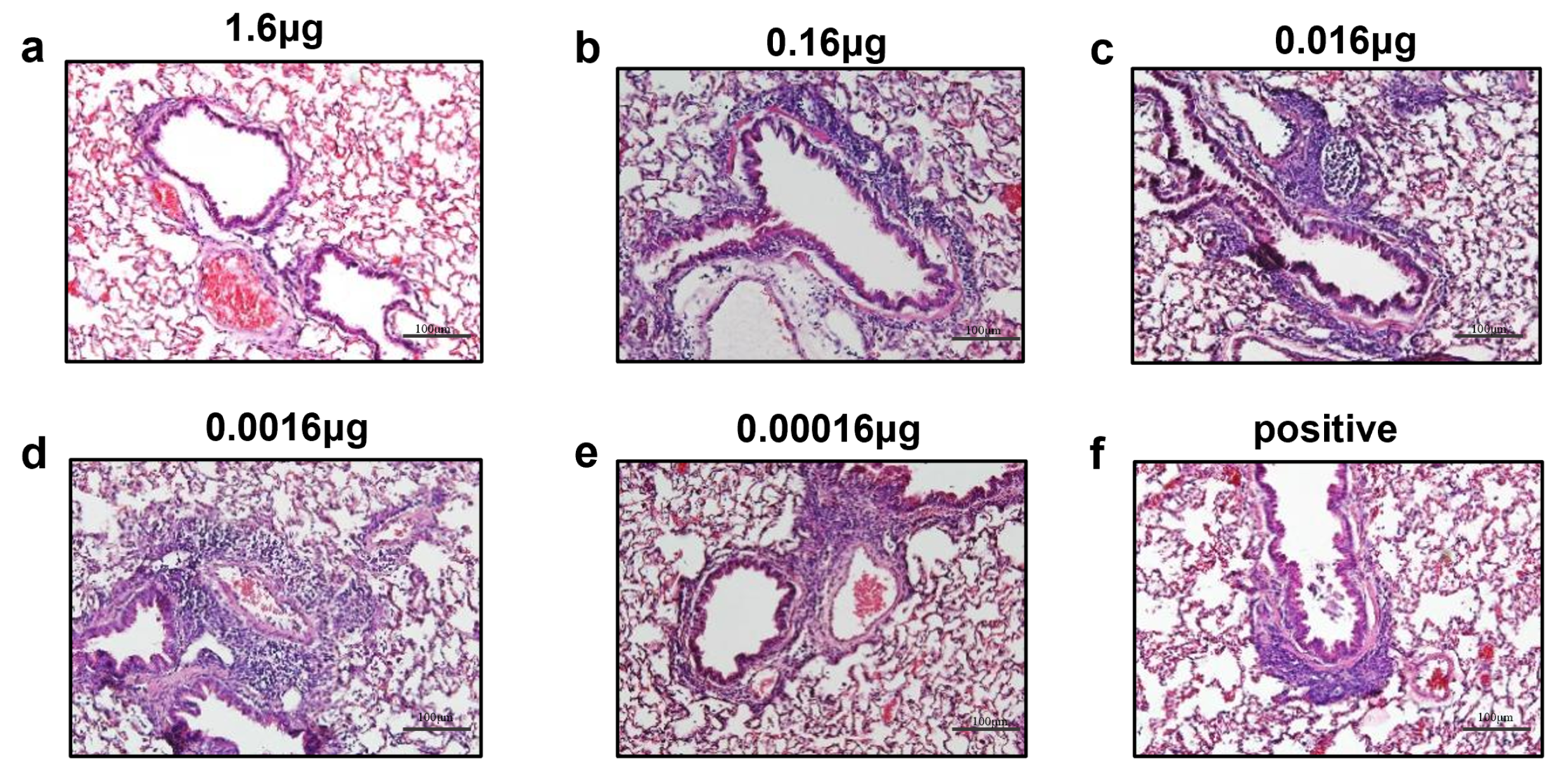 Viruses 14 02085 g006