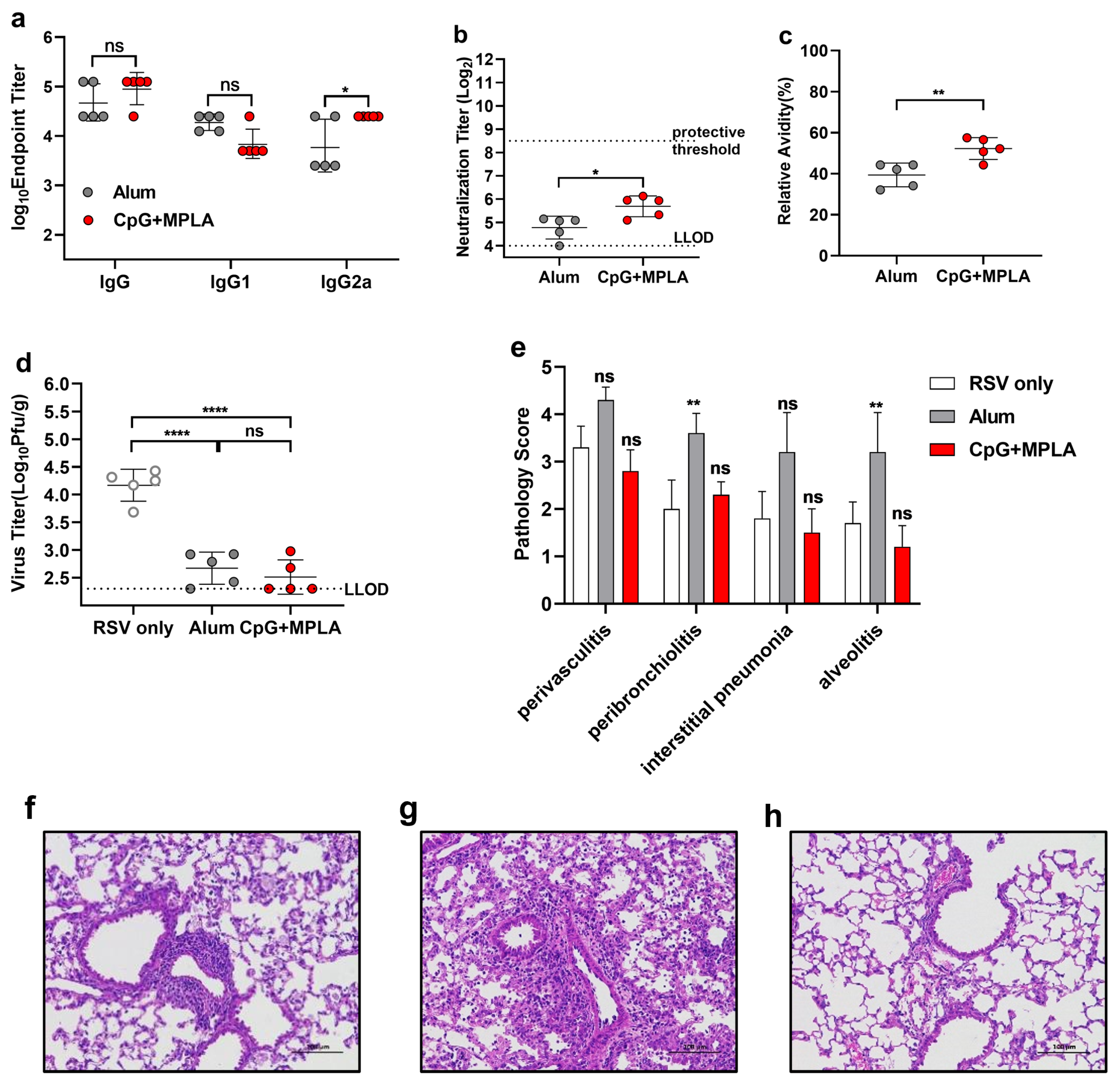 Viruses 14 02085 g007