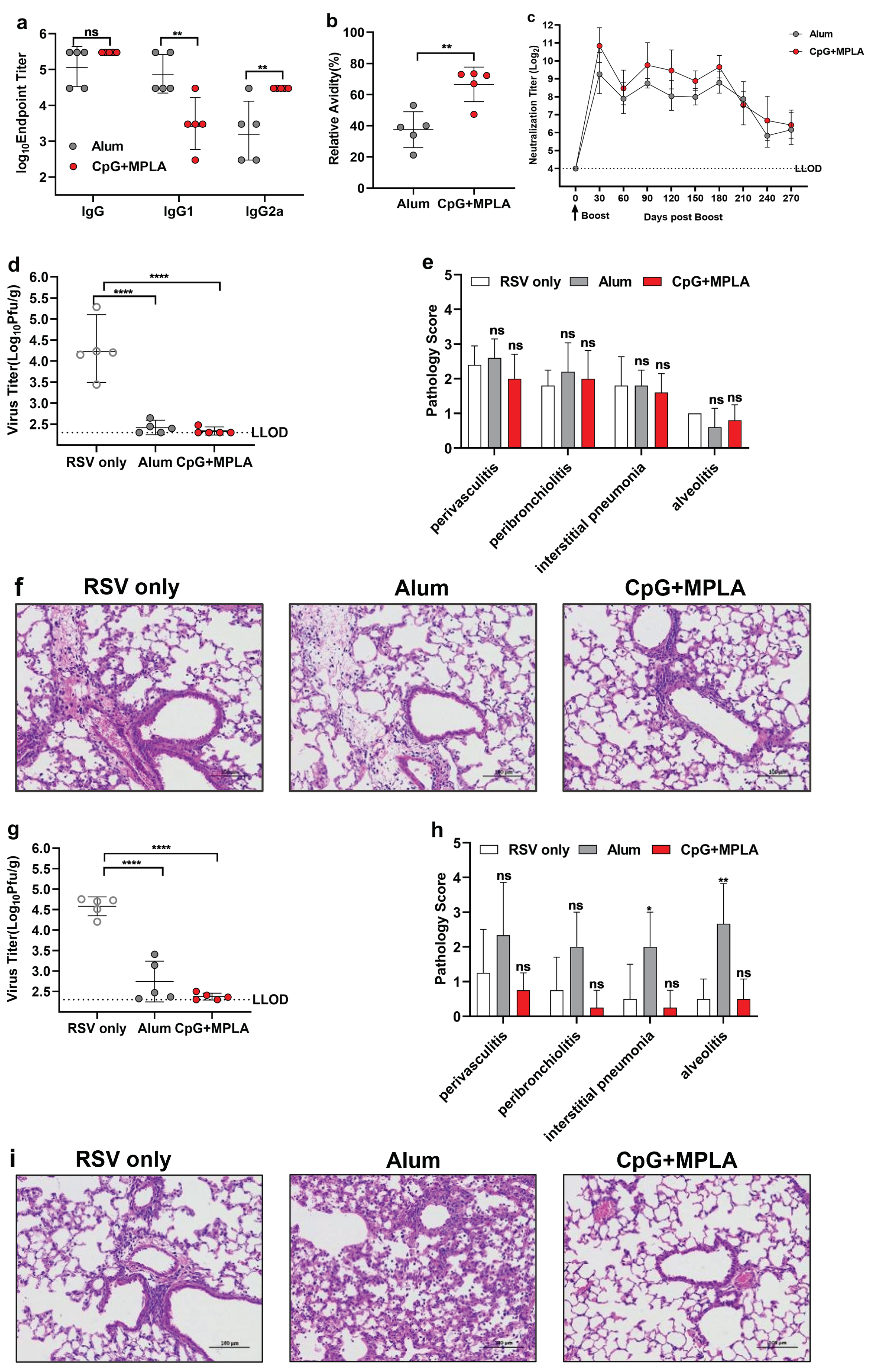 Viruses 14 02085 g008