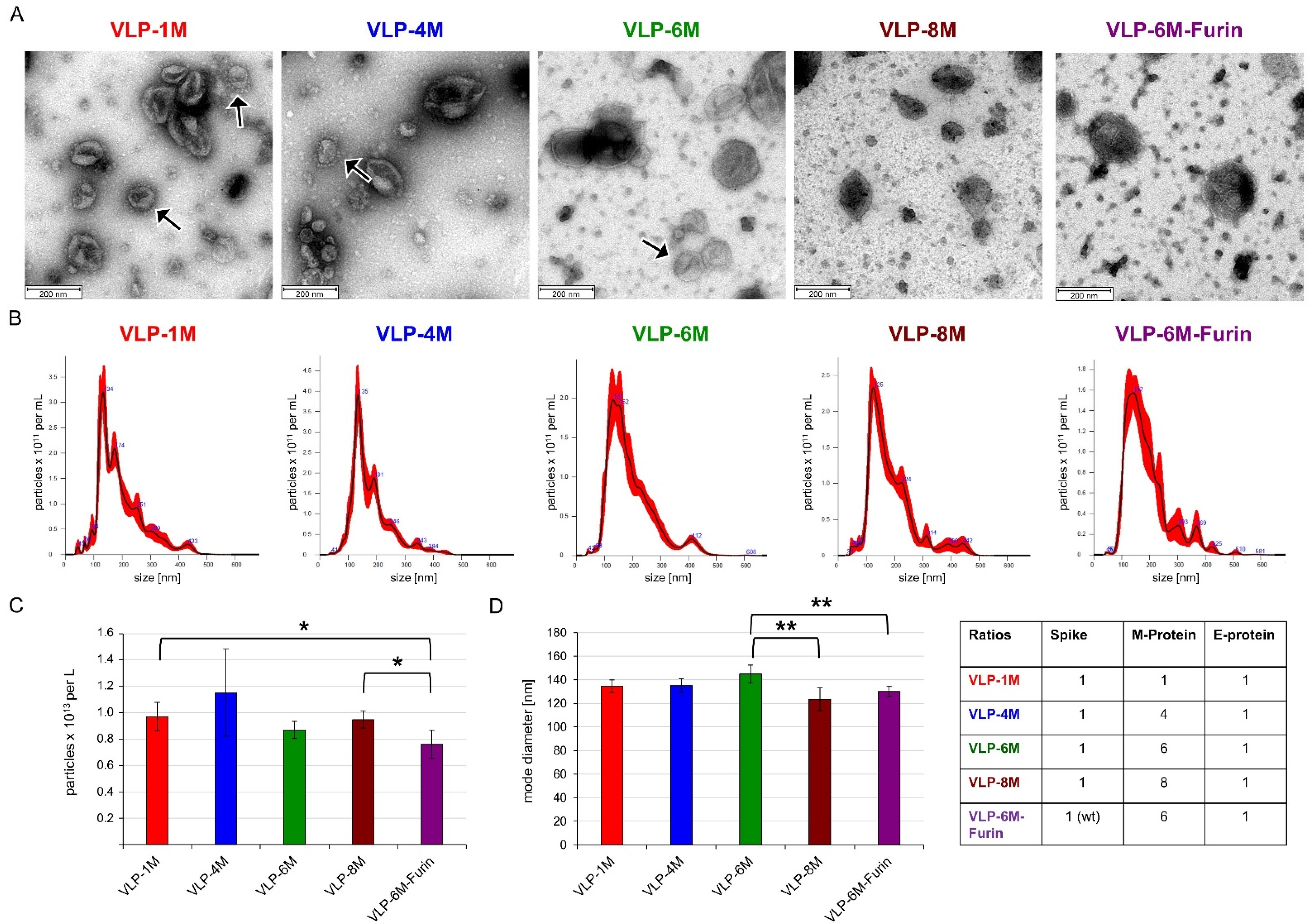 Viruses 14 02087 g002