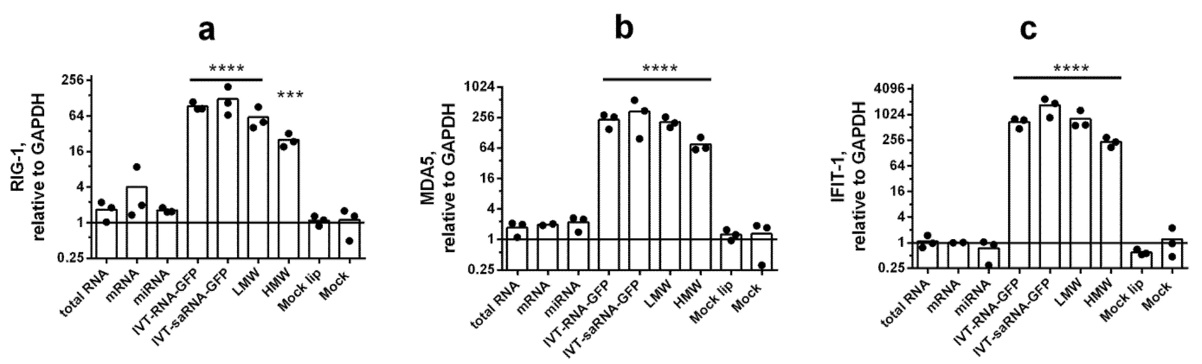 Viruses 14 02090 g002